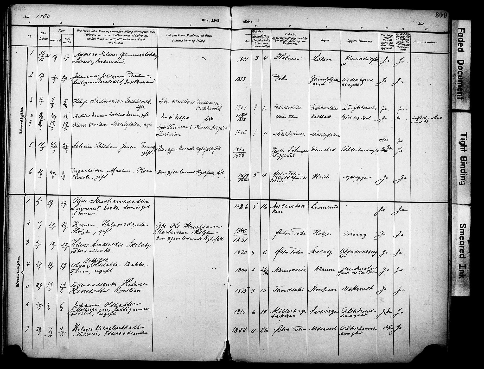 Vestre Toten prestekontor, SAH/PREST-108/H/Ha/Haa/L0013: Parish register (official) no. 13, 1895-1911, p. 309