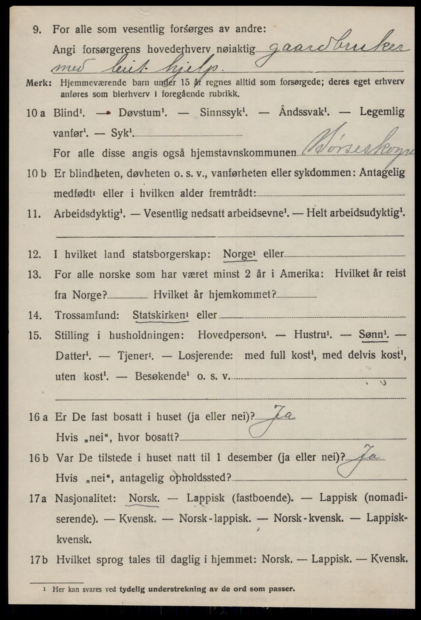 SAT, 1920 census for Børseskogn, 1920, p. 453