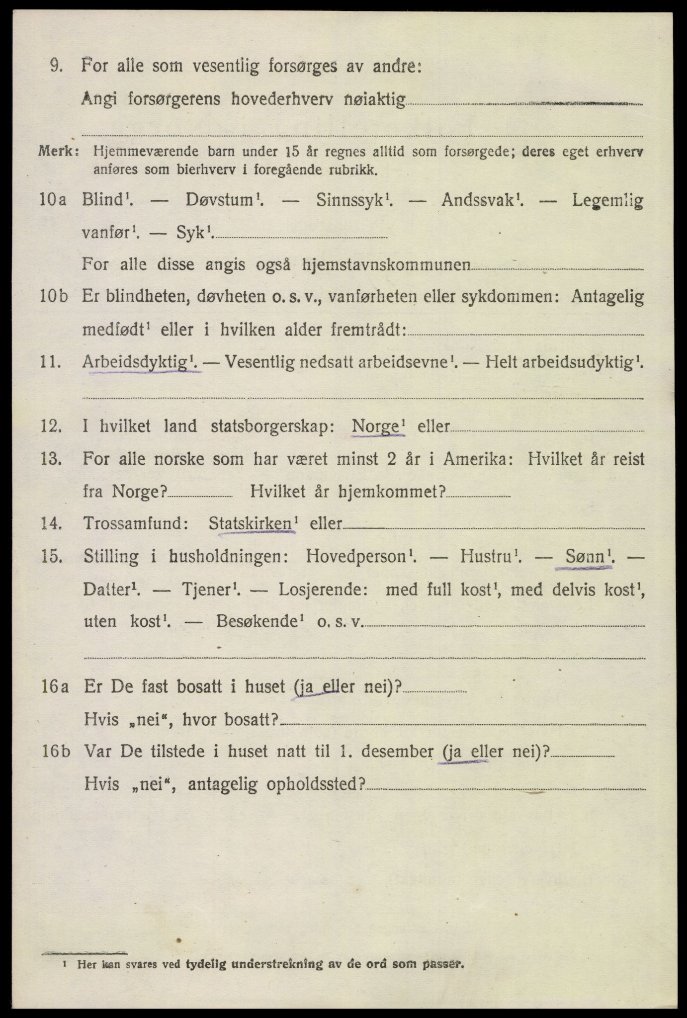 SAH, 1920 census for Åsnes, 1920, p. 13349