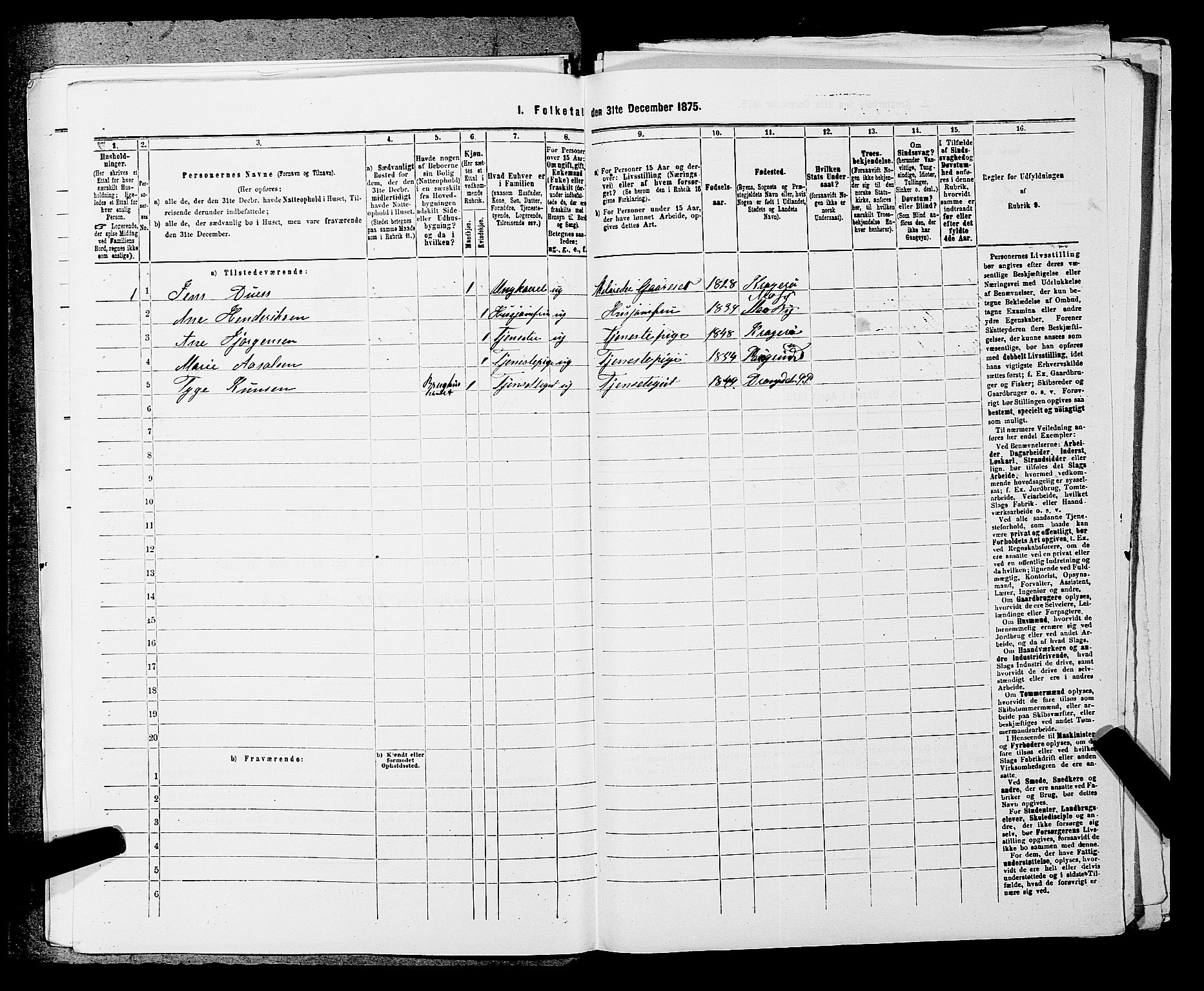 SAKO, 1875 census for 0816P Sannidal, 1875, p. 2003