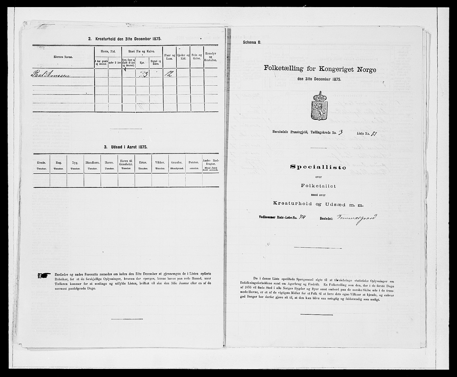 SAB, 1875 Census for 1444P Hornindal, 1875, p. 379