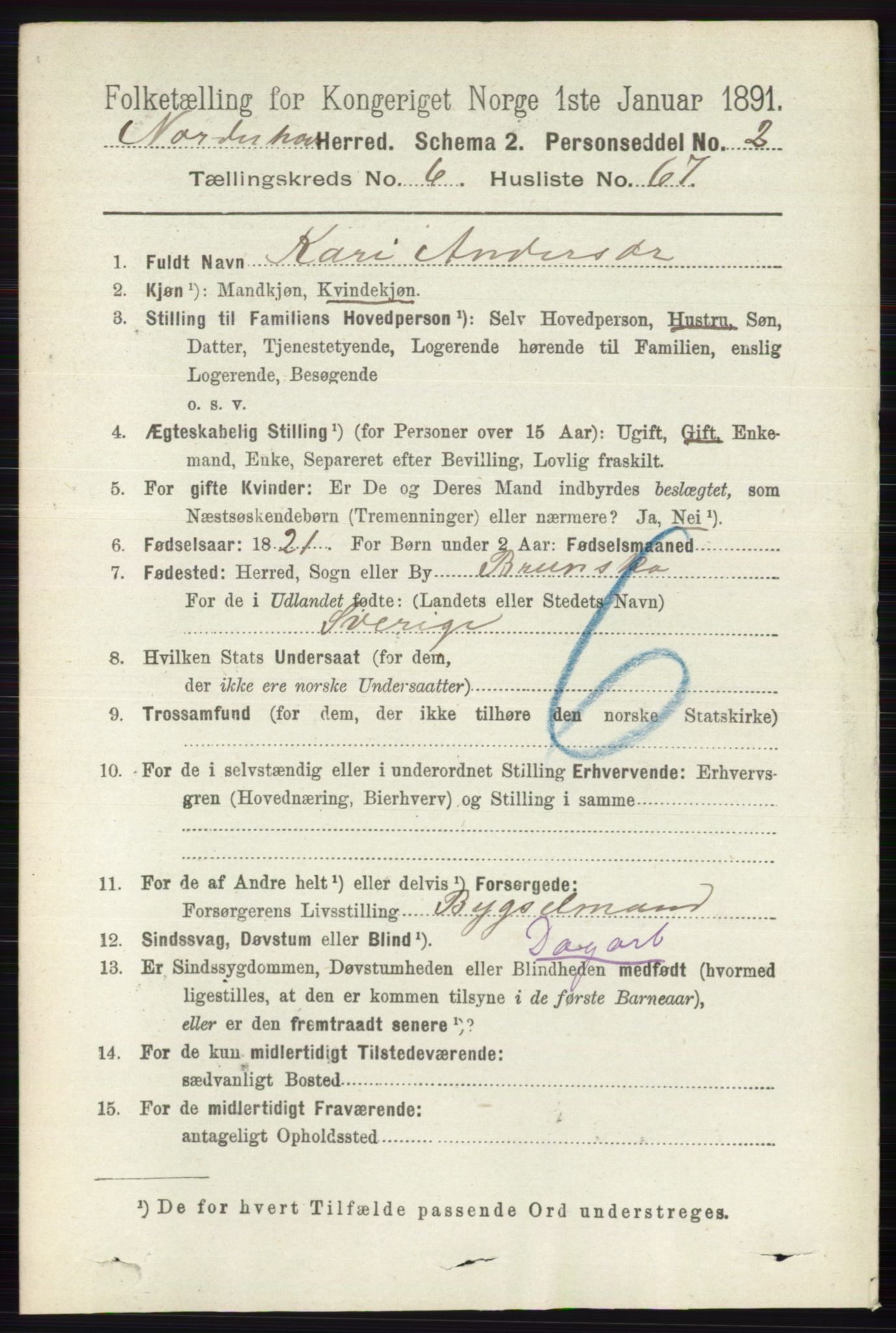 RA, 1891 census for 0613 Norderhov, 1891, p. 4382