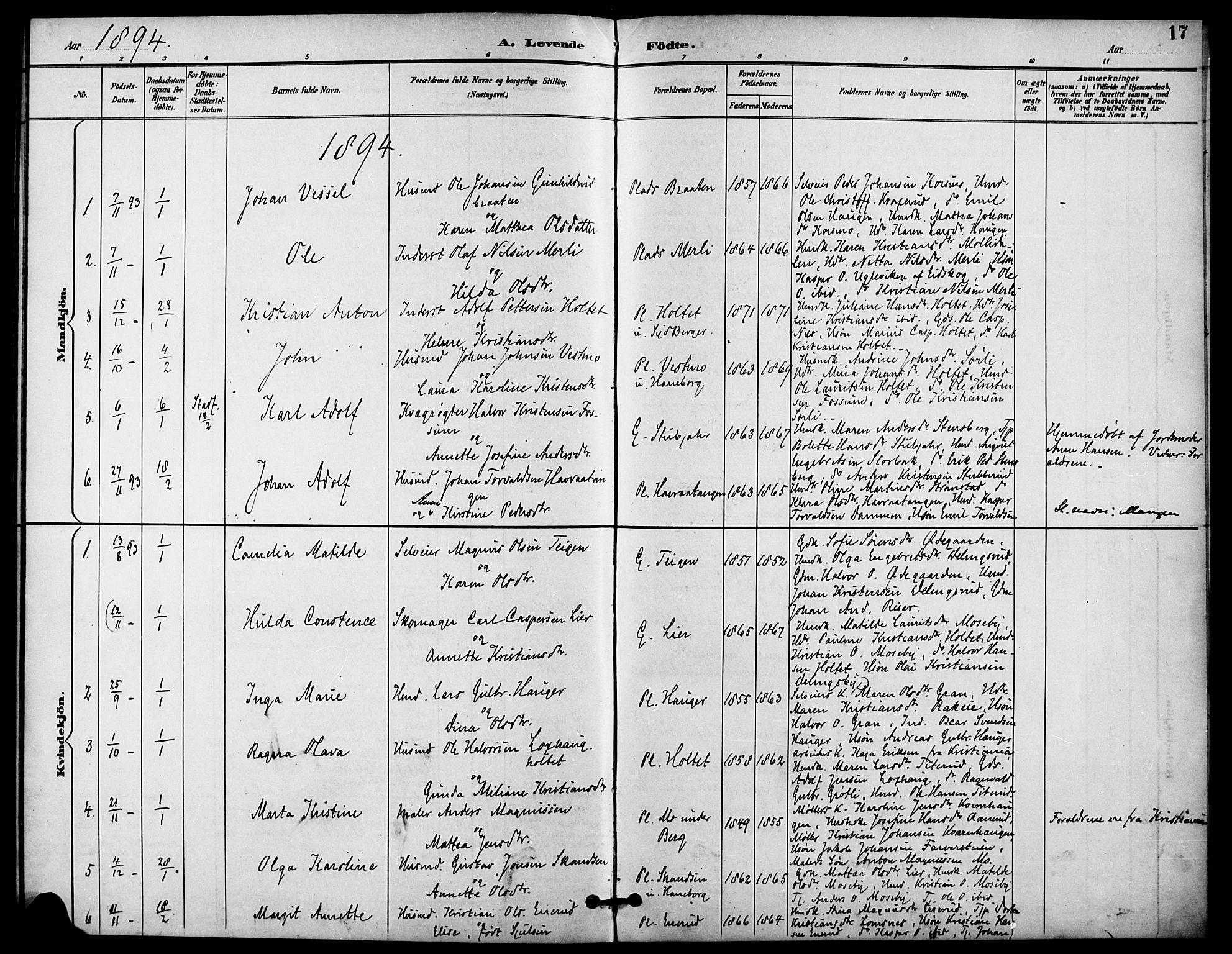 Aurskog prestekontor Kirkebøker, SAO/A-10304a/F/Fa/L0009: Parish register (official) no. I 9, 1891-1898, p. 17