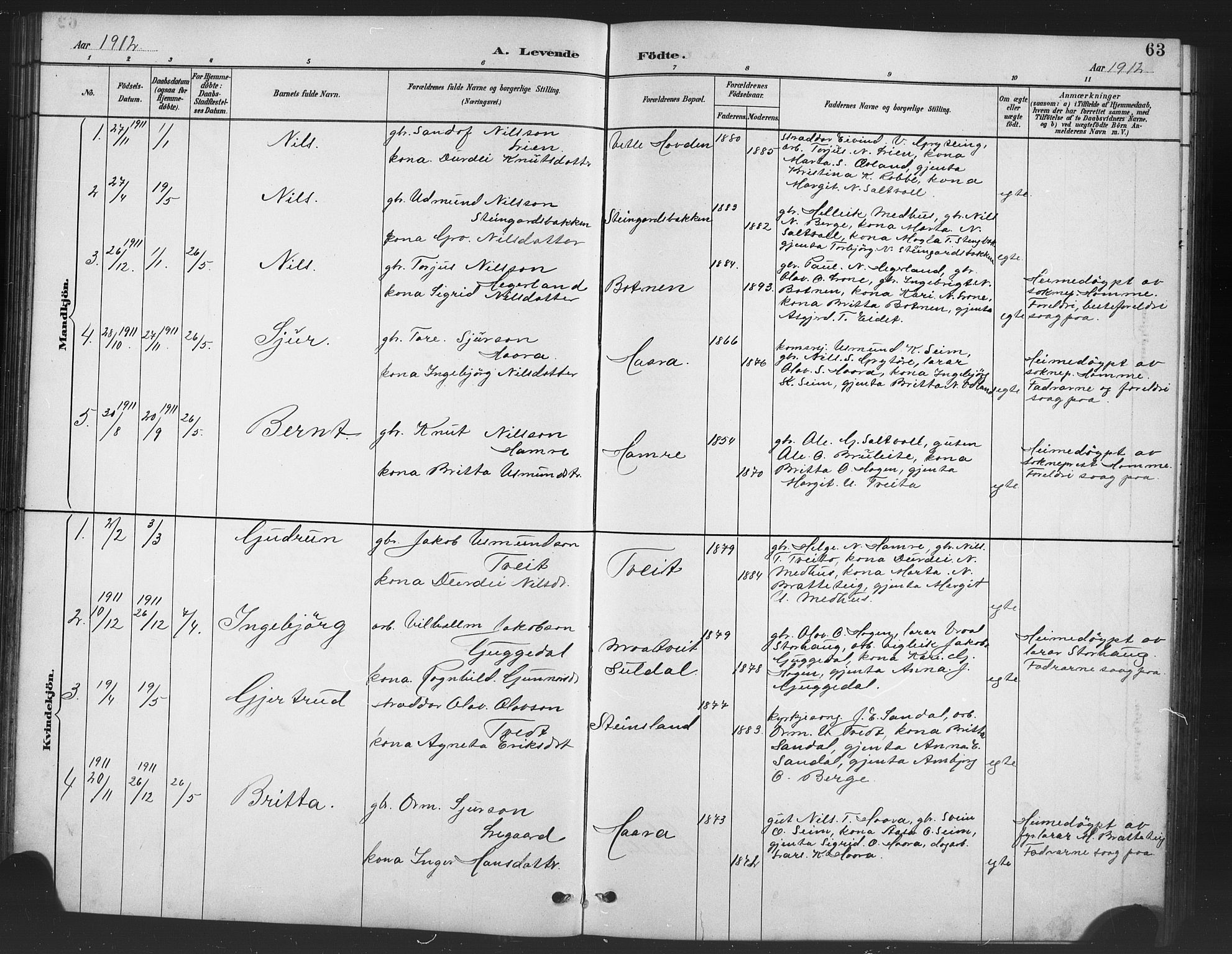 Røldal sokneprestembete, AV/SAB-A-100247: Parish register (copy) no. A 3, 1887-1917, p. 63