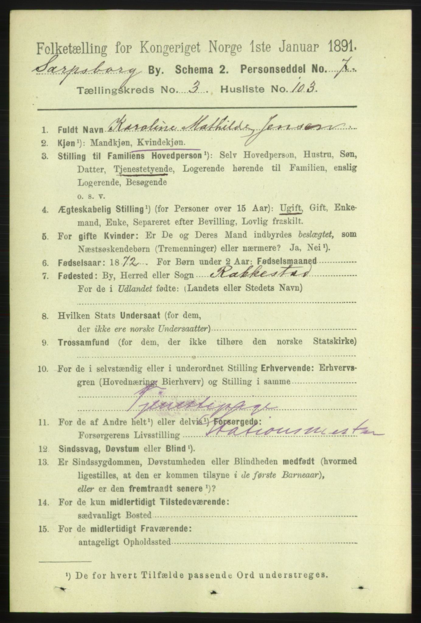 RA, 1891 census for 0102 Sarpsborg, 1891, p. 3462