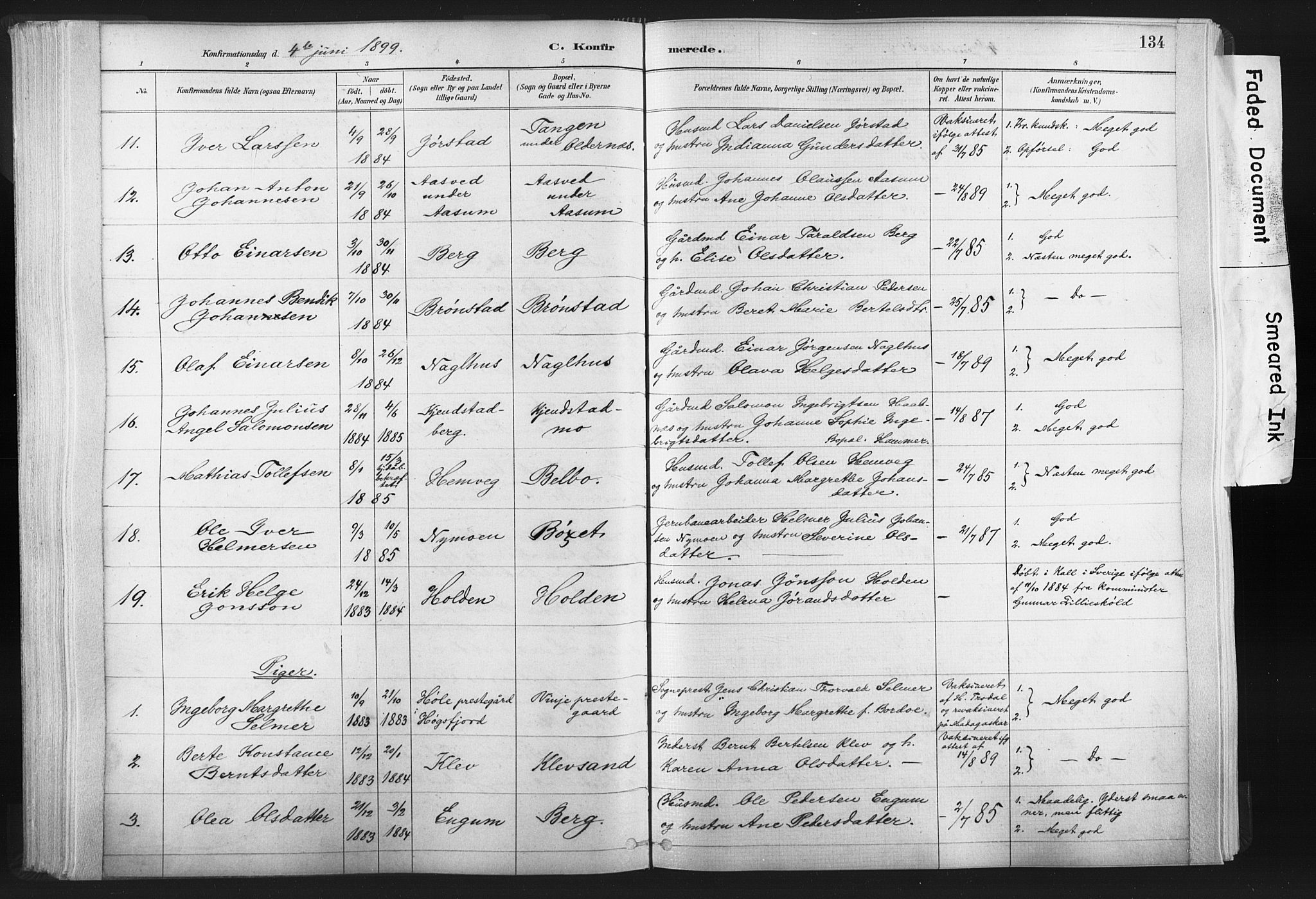 Ministerialprotokoller, klokkerbøker og fødselsregistre - Nord-Trøndelag, SAT/A-1458/749/L0474: Parish register (official) no. 749A08, 1887-1903, p. 134