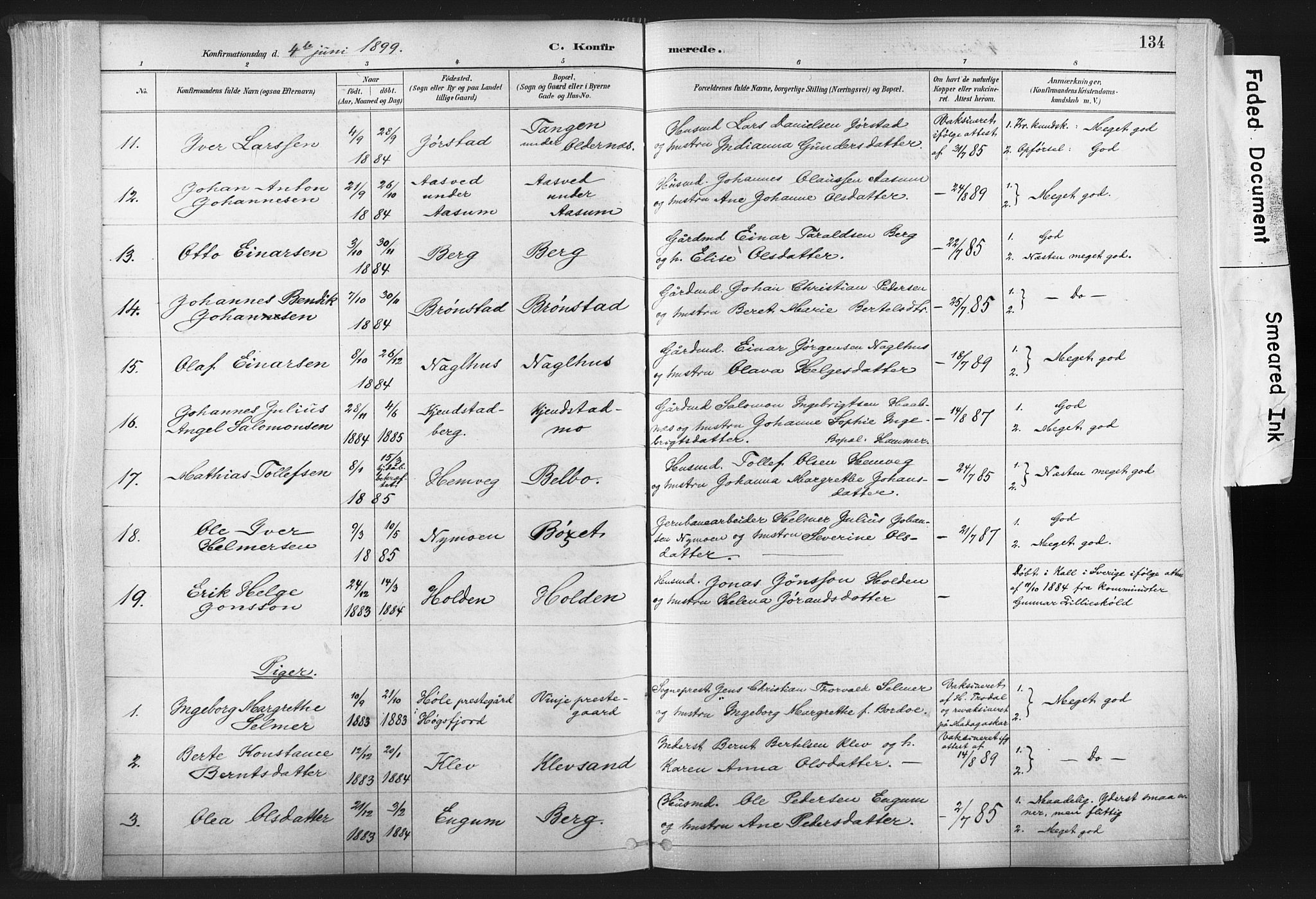 Ministerialprotokoller, klokkerbøker og fødselsregistre - Nord-Trøndelag, AV/SAT-A-1458/749/L0474: Parish register (official) no. 749A08, 1887-1903, p. 134