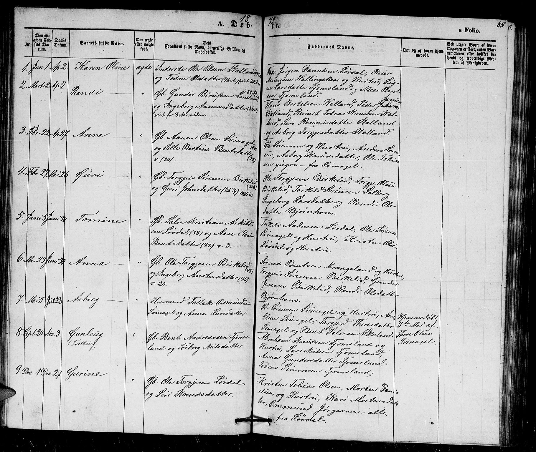 Holum sokneprestkontor, SAK/1111-0022/F/Fb/Fbb/L0002: Parish register (copy) no. B 2, 1847-1874, p. 85
