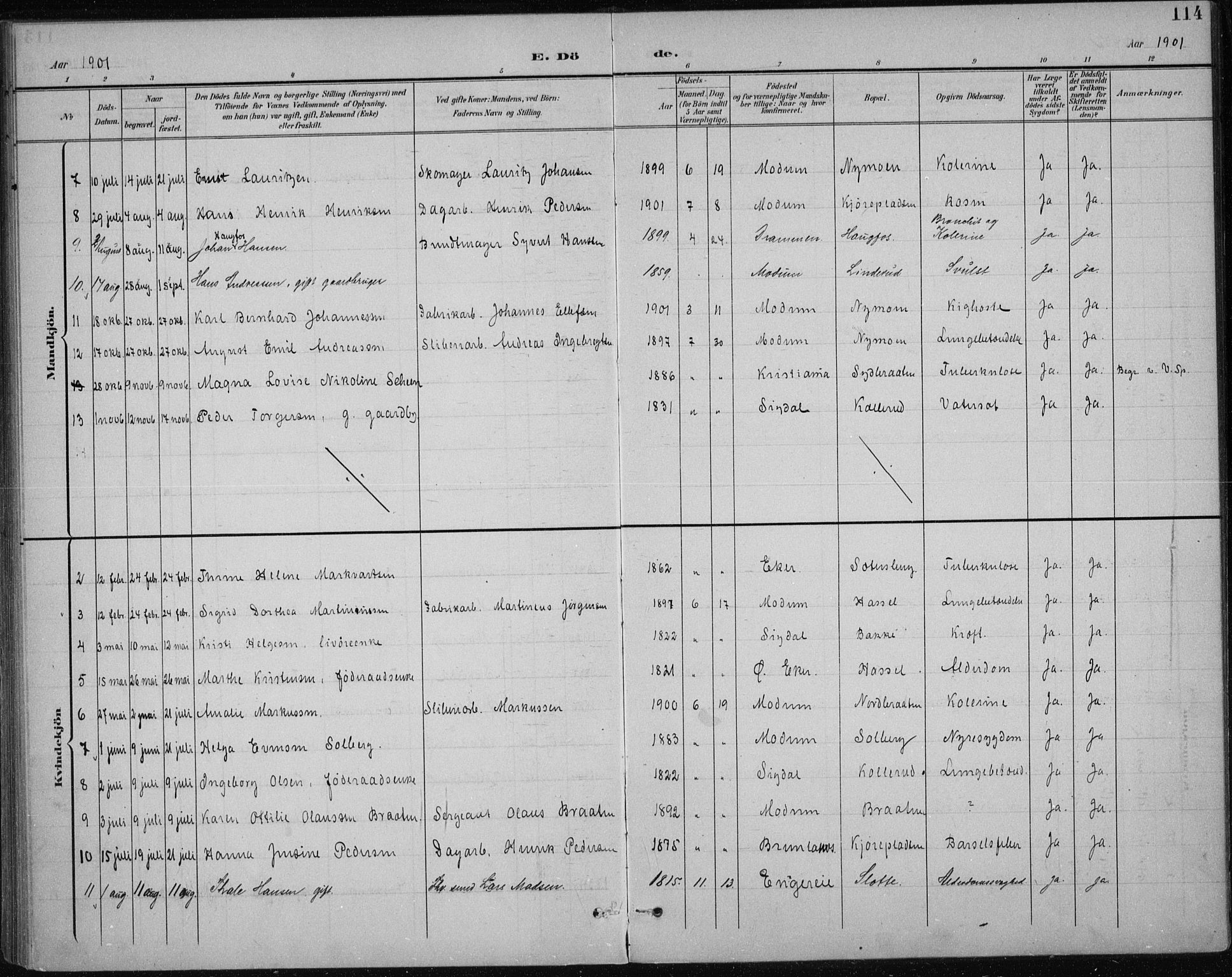 Modum kirkebøker, AV/SAKO-A-234/F/Fa/L0017: Parish register (official) no. 17, 1900-1915, p. 114