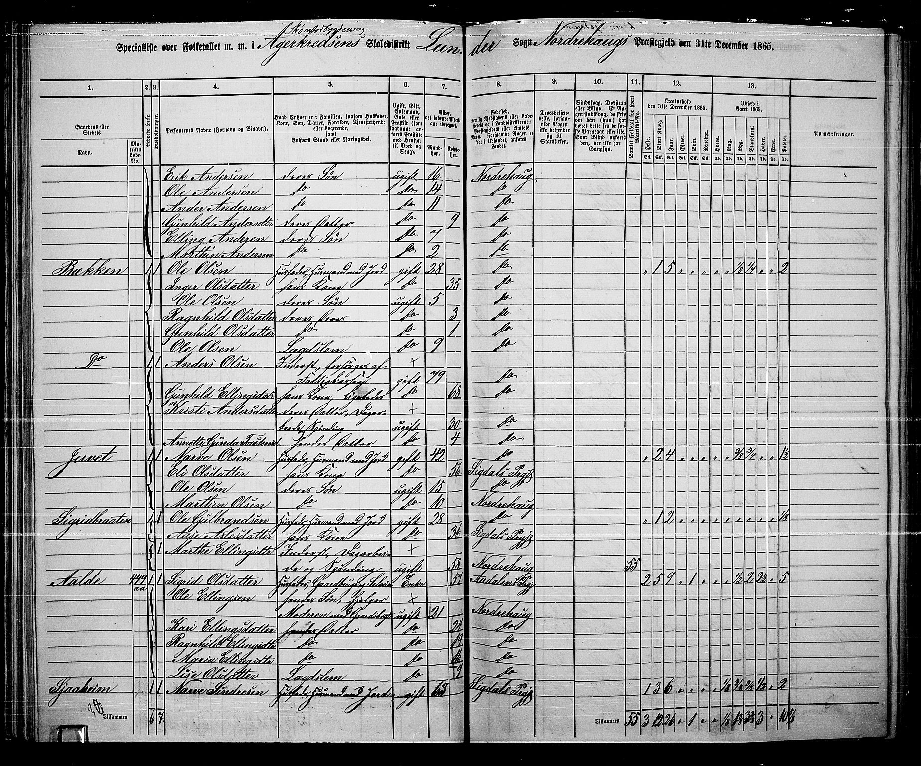 RA, 1865 census for Norderhov/Norderhov, Haug og Lunder, 1865, p. 62