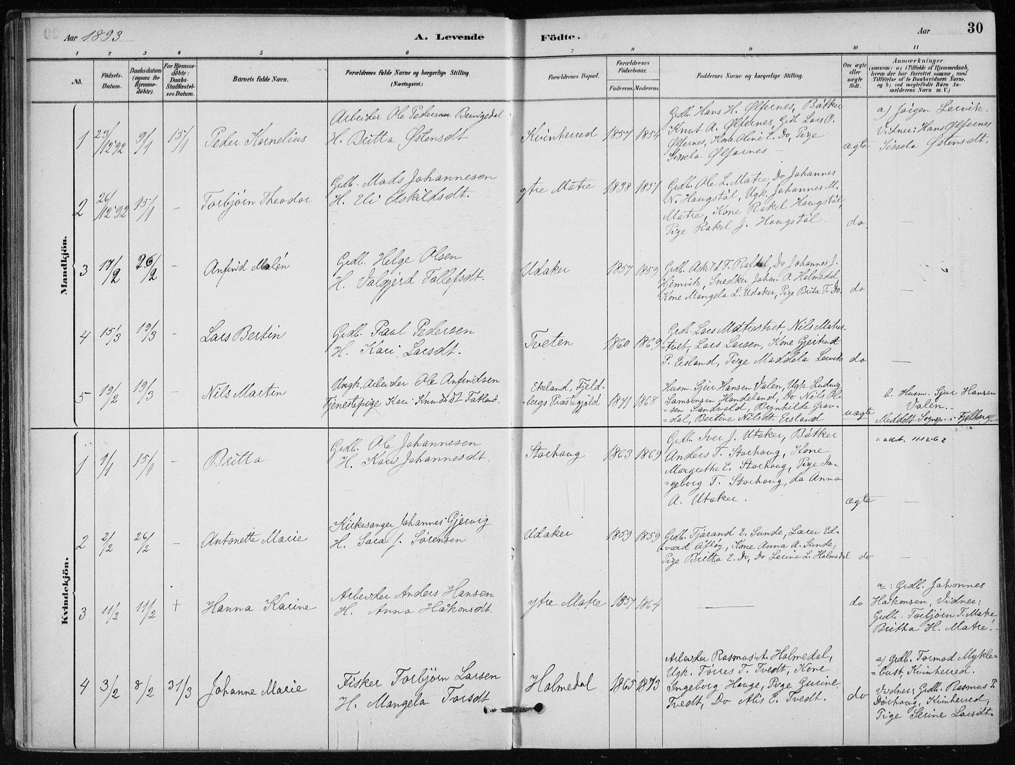 Skånevik sokneprestembete, SAB/A-77801/H/Haa: Parish register (official) no. C  1, 1879-1917, p. 30