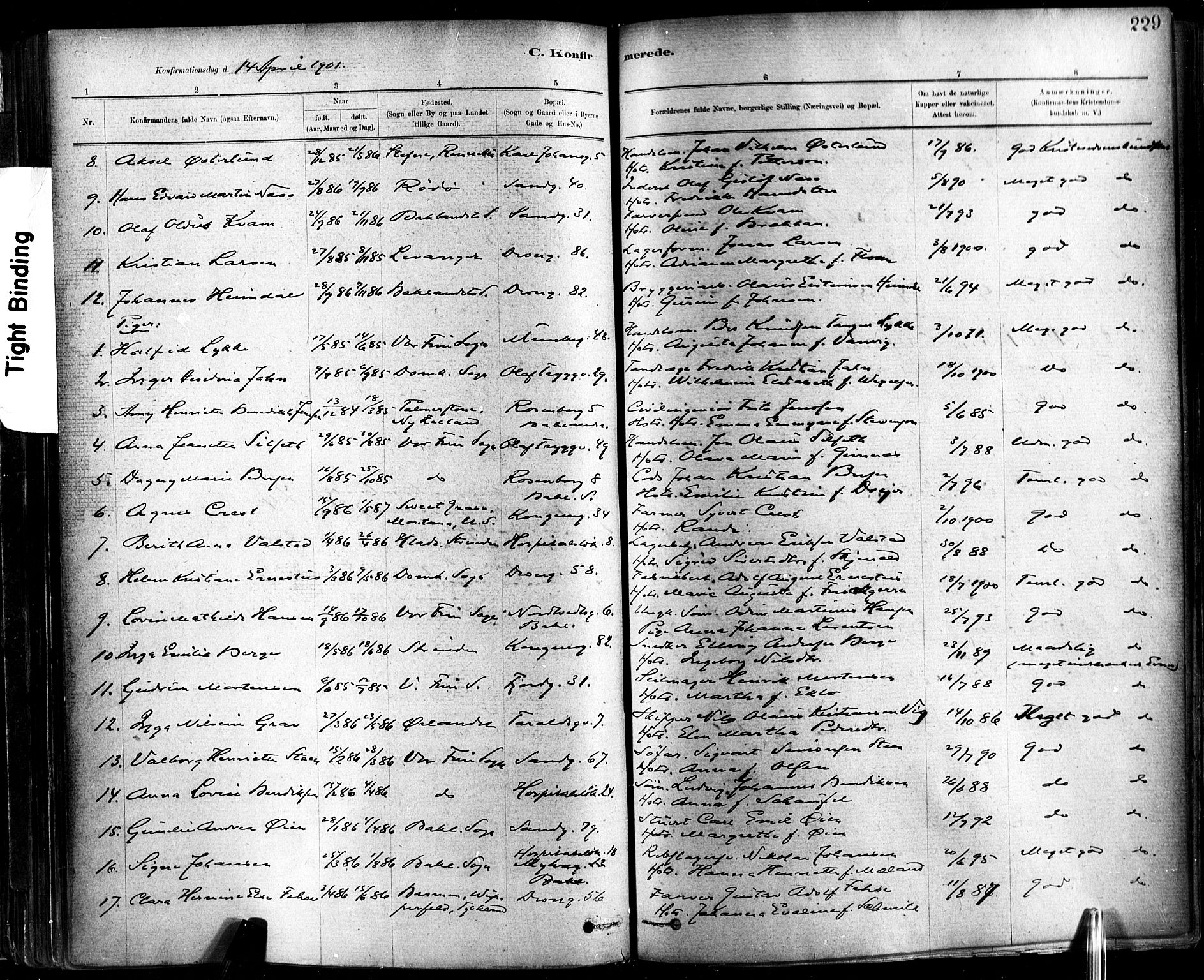 Ministerialprotokoller, klokkerbøker og fødselsregistre - Sør-Trøndelag, SAT/A-1456/602/L0119: Parish register (official) no. 602A17, 1880-1901, p. 229