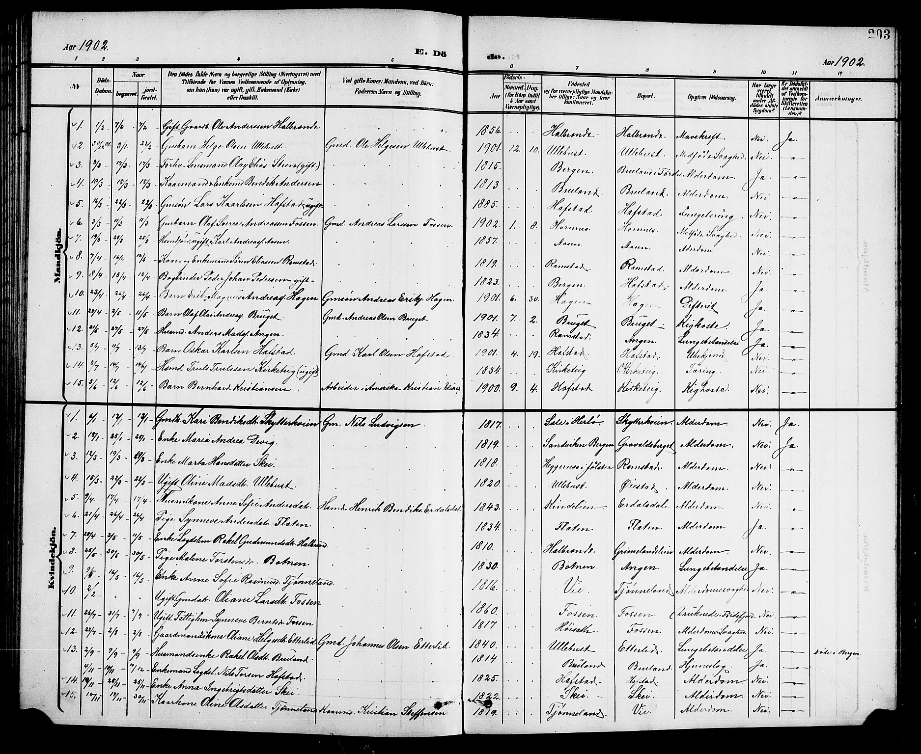 Førde sokneprestembete, SAB/A-79901/H/Hab/Haba/L0003: Parish register (copy) no. A 3, 1899-1924, p. 203
