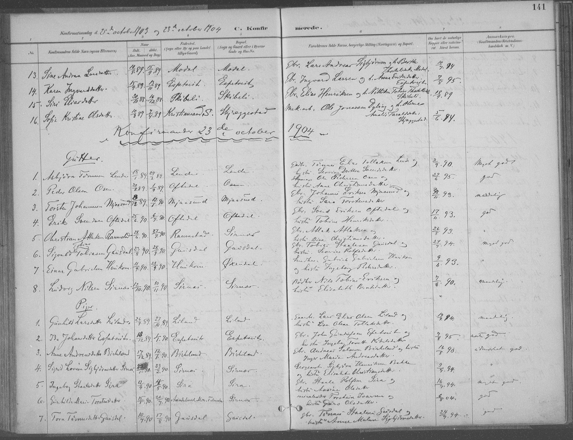 Bakke sokneprestkontor, SAK/1111-0002/F/Fa/Faa/L0008: Parish register (official) no. A 8, 1887-1911, p. 141