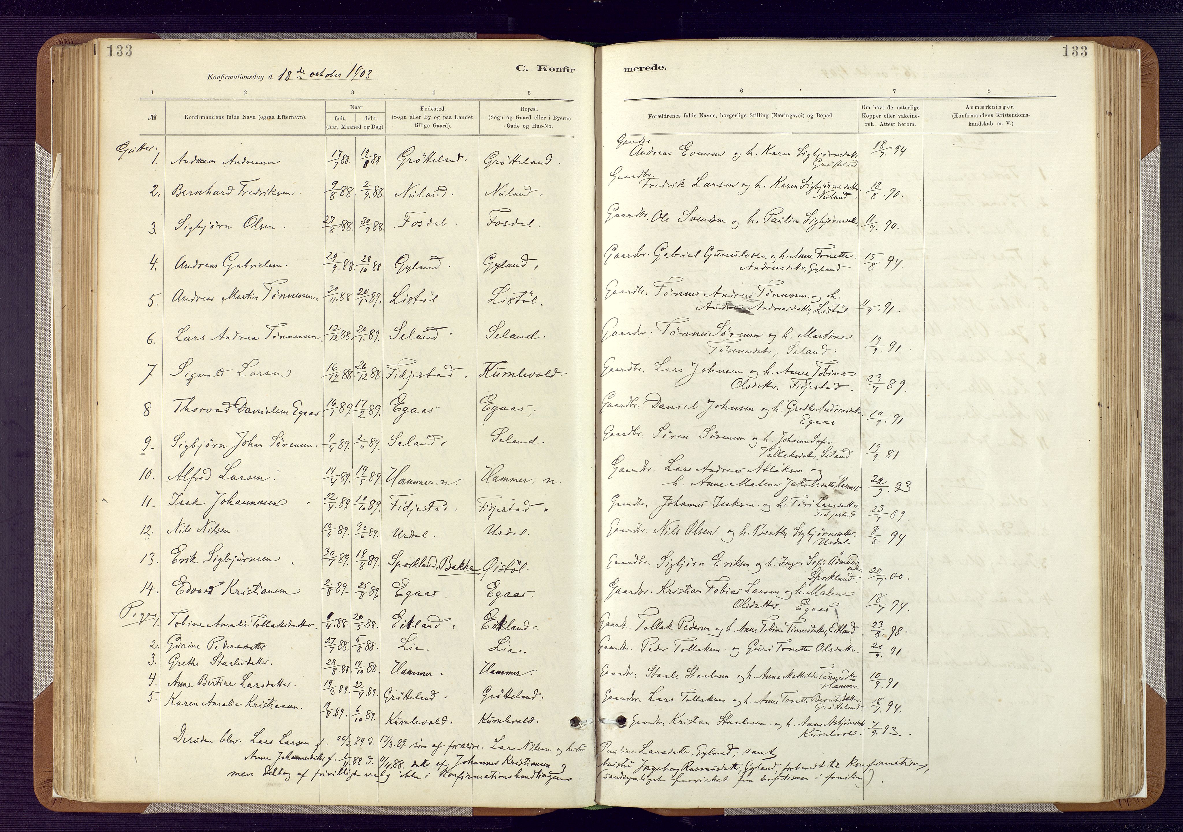 Bakke sokneprestkontor, SAK/1111-0002/F/Fa/Fab/L0003: Parish register (official) no. A 3, 1884-1921, p. 133