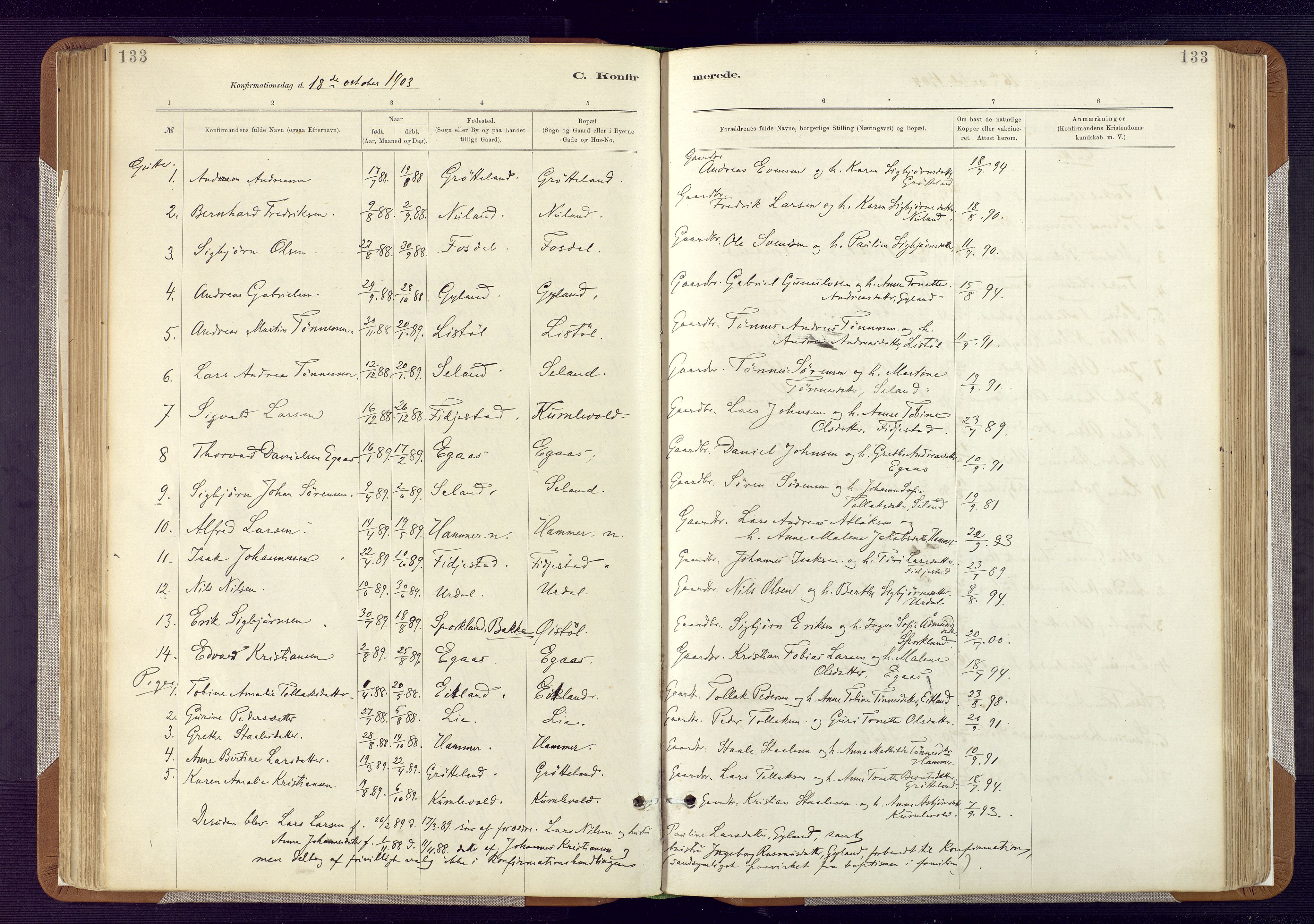 Bakke sokneprestkontor, AV/SAK-1111-0002/F/Fa/Fab/L0003: Parish register (official) no. A 3, 1884-1921, p. 133