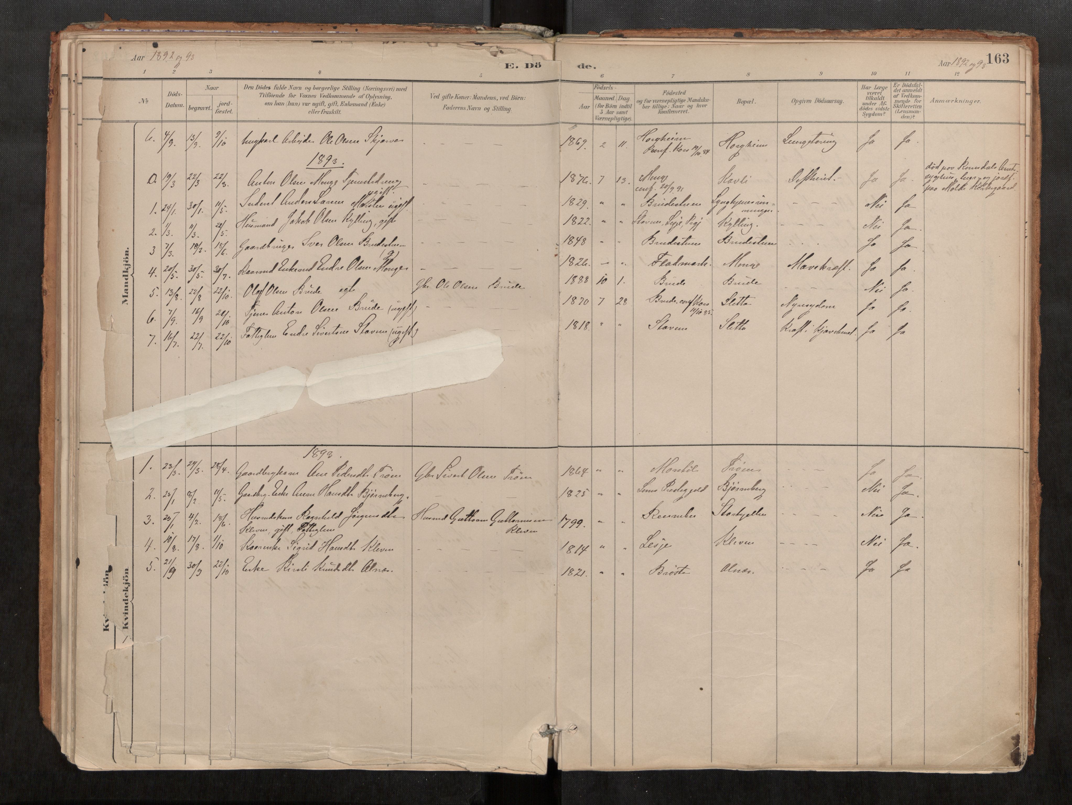 Ministerialprotokoller, klokkerbøker og fødselsregistre - Møre og Romsdal, AV/SAT-A-1454/546/L0599: Parish register (official) no. 546A03, 1882-1920, p. 163