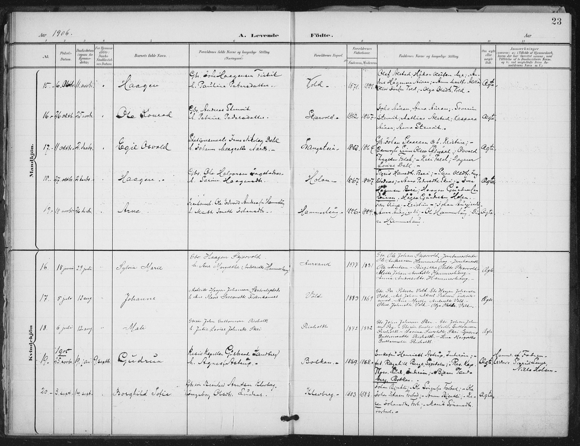 Ministerialprotokoller, klokkerbøker og fødselsregistre - Nord-Trøndelag, AV/SAT-A-1458/712/L0101: Parish register (official) no. 712A02, 1901-1916, p. 23