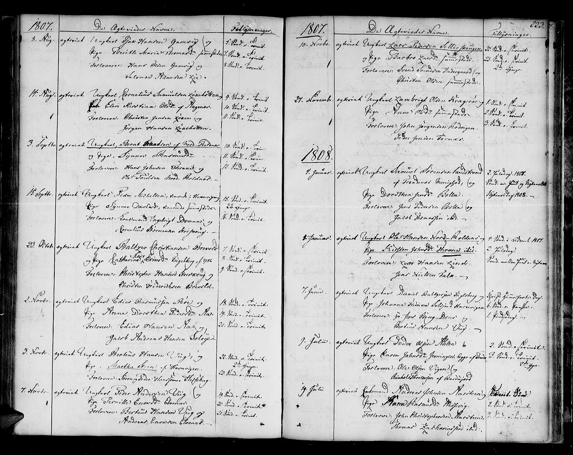 Ibestad sokneprestembete, SATØ/S-0077/H/Ha/Haa/L0004kirke: Parish register (official) no. 4, 1801-1824, p. 223