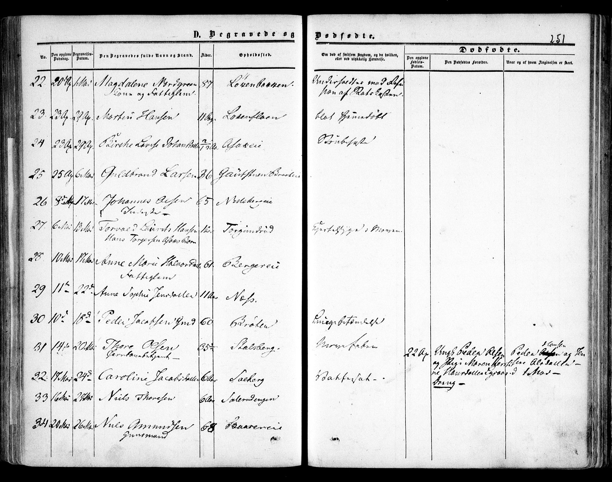 Skedsmo prestekontor Kirkebøker, SAO/A-10033a/F/Fa/L0010: Parish register (official) no. I 10, 1854-1865, p. 251