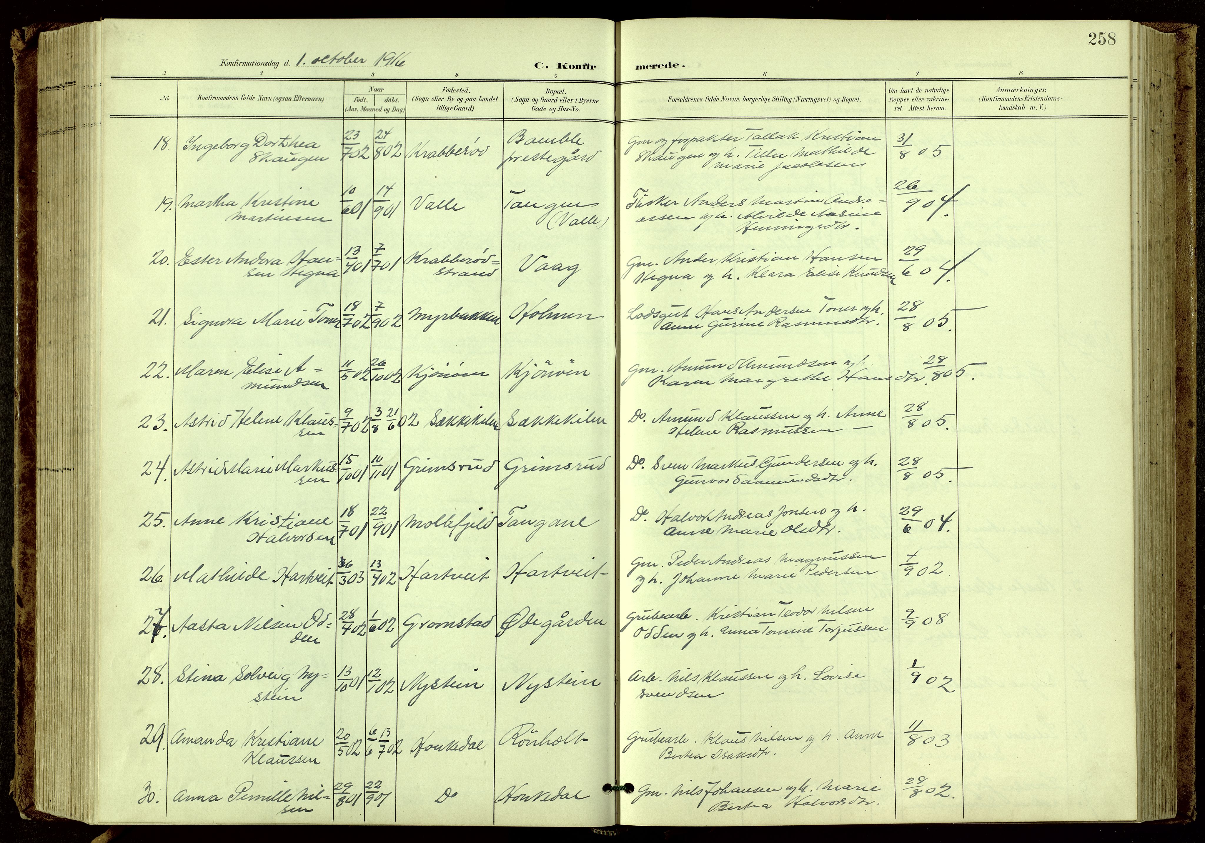 Bamble kirkebøker, AV/SAKO-A-253/G/Ga/L0010: Parish register (copy) no. I 10, 1901-1919, p. 258