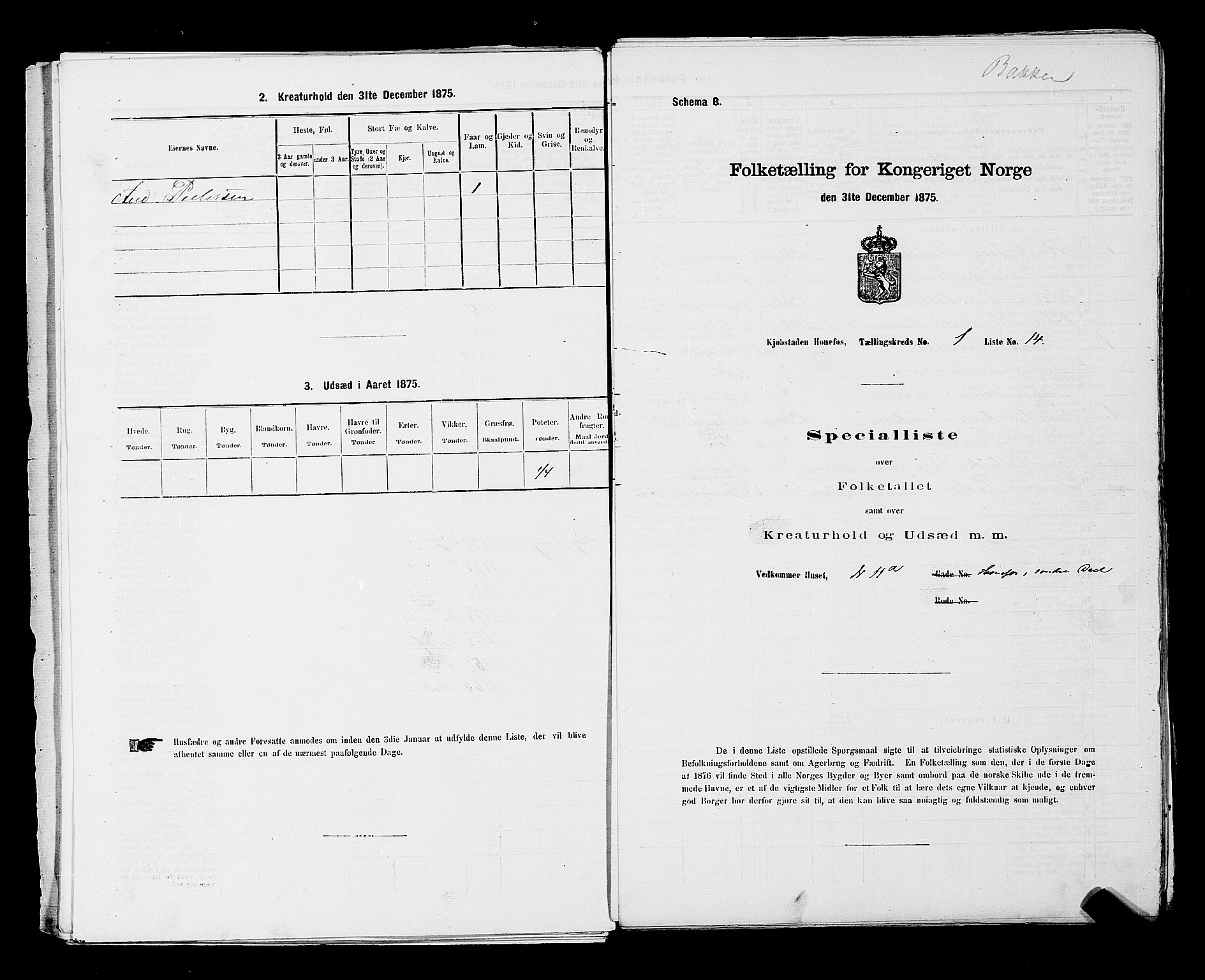 SAKO, 1875 census for 0601B Norderhov/Hønefoss, 1875, p. 40