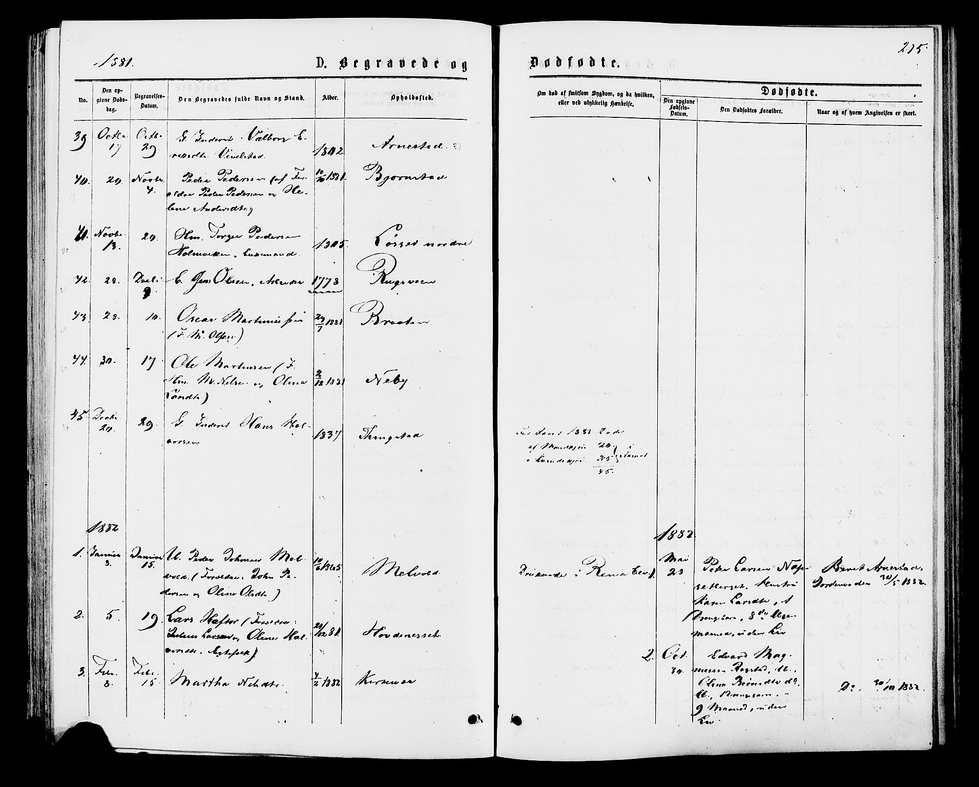 Åmot prestekontor, Hedmark, AV/SAH-PREST-056/H/Ha/Haa/L0009: Parish register (official) no. 9, 1875-1883, p. 215