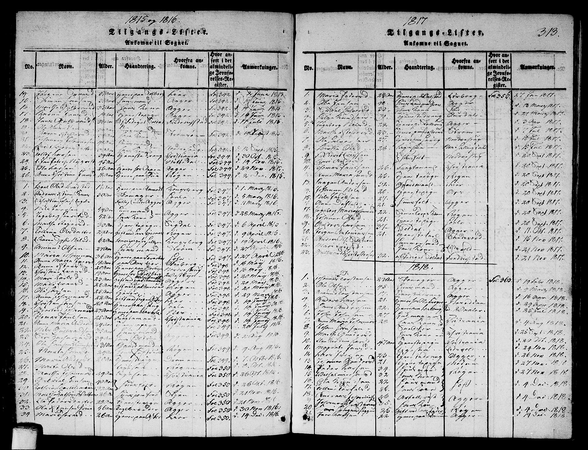 Asker prestekontor Kirkebøker, SAO/A-10256a/G/Ga/L0001: Parish register (copy) no. I 1, 1814-1830, p. 313
