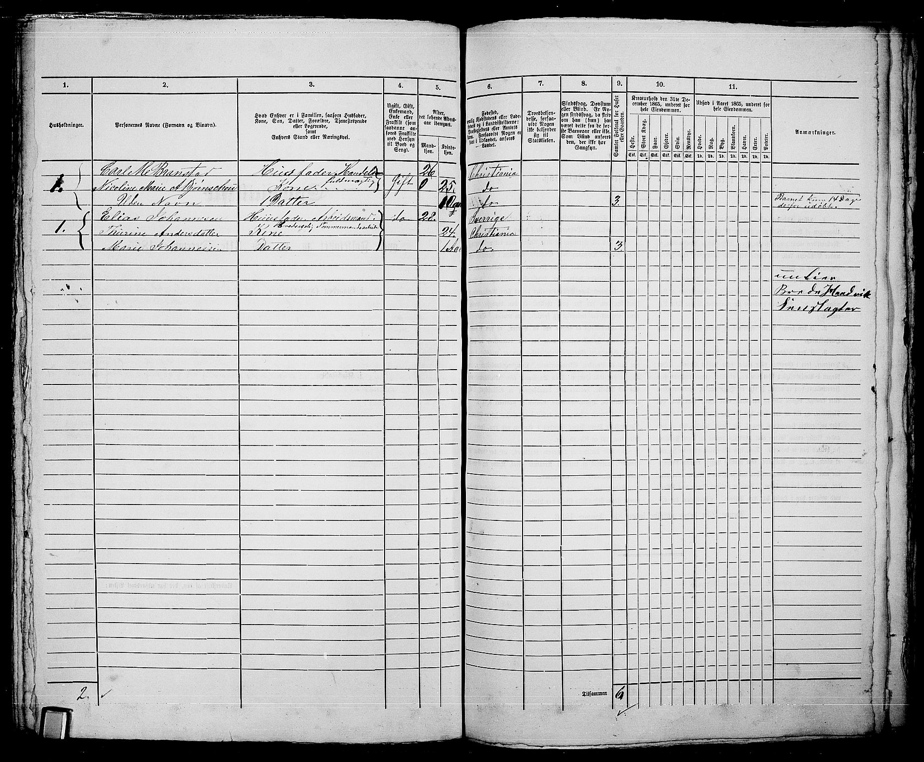 RA, 1865 census for Kristiania, 1865, p. 4253