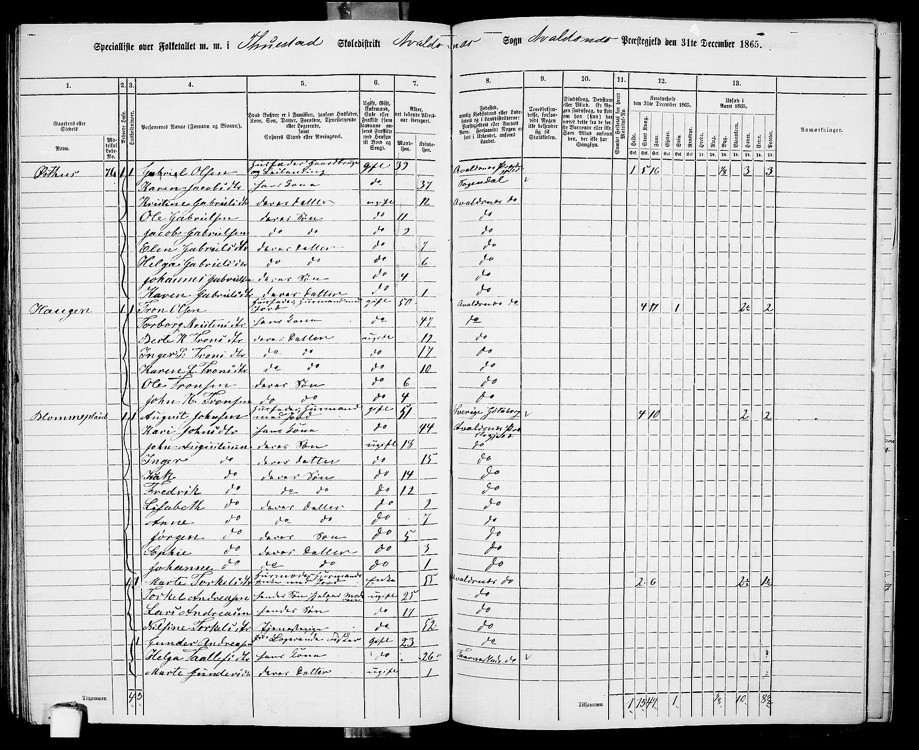 RA, 1865 census for Avaldsnes, 1865, p. 223