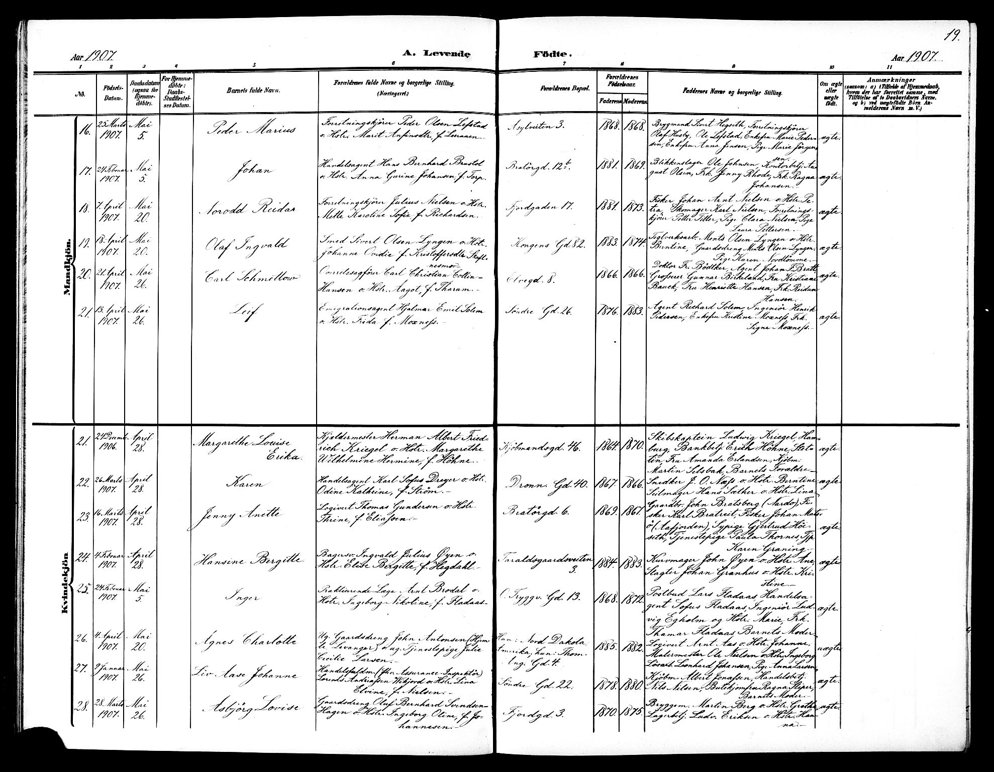 Ministerialprotokoller, klokkerbøker og fødselsregistre - Sør-Trøndelag, AV/SAT-A-1456/602/L0146: Parish register (copy) no. 602C14, 1904-1914, p. 19