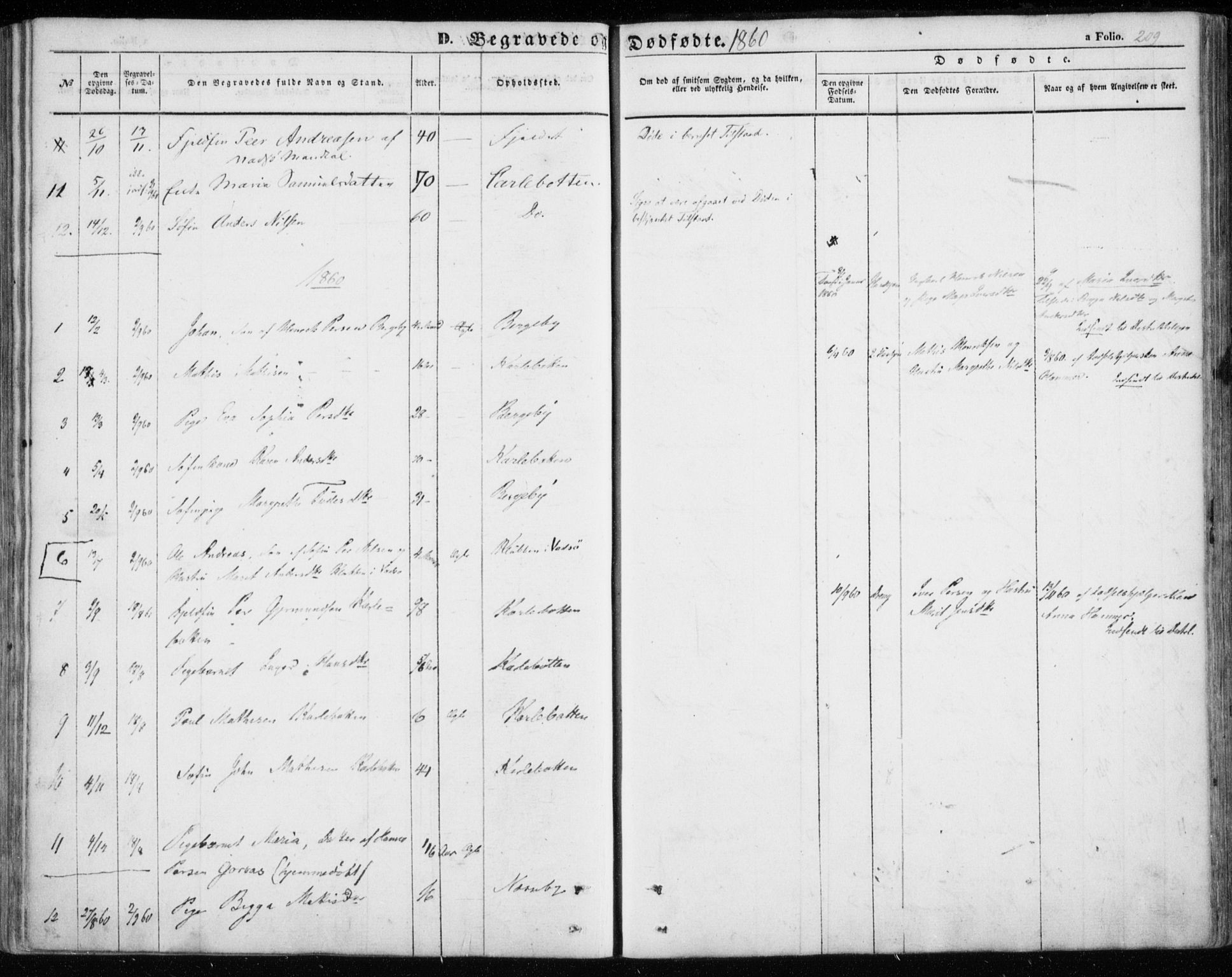 Nesseby sokneprestkontor, SATØ/S-1330/H/Ha/L0002kirke: Parish register (official) no. 2, 1856-1864, p. 209
