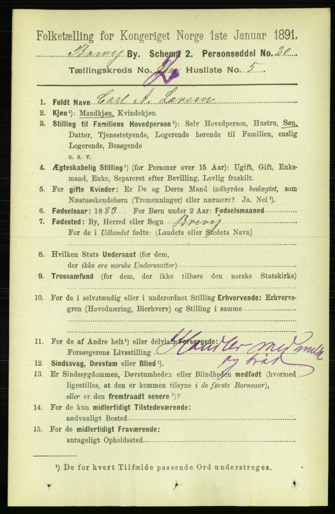 RA, 1891 census for 0804 Brevik, 1891, p. 1623