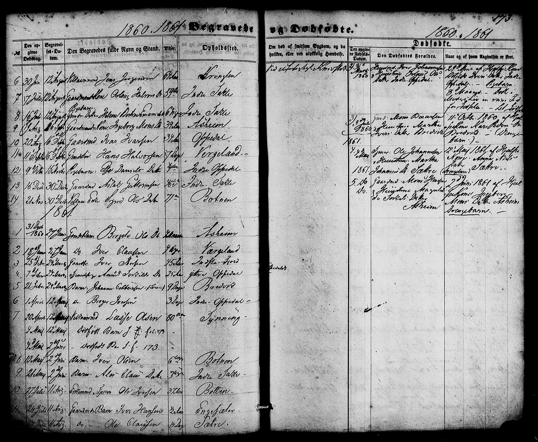 Gulen sokneprestembete, SAB/A-80201/H/Haa/Haac/L0001: Parish register (official) no. C 1, 1859-1881, p. 173