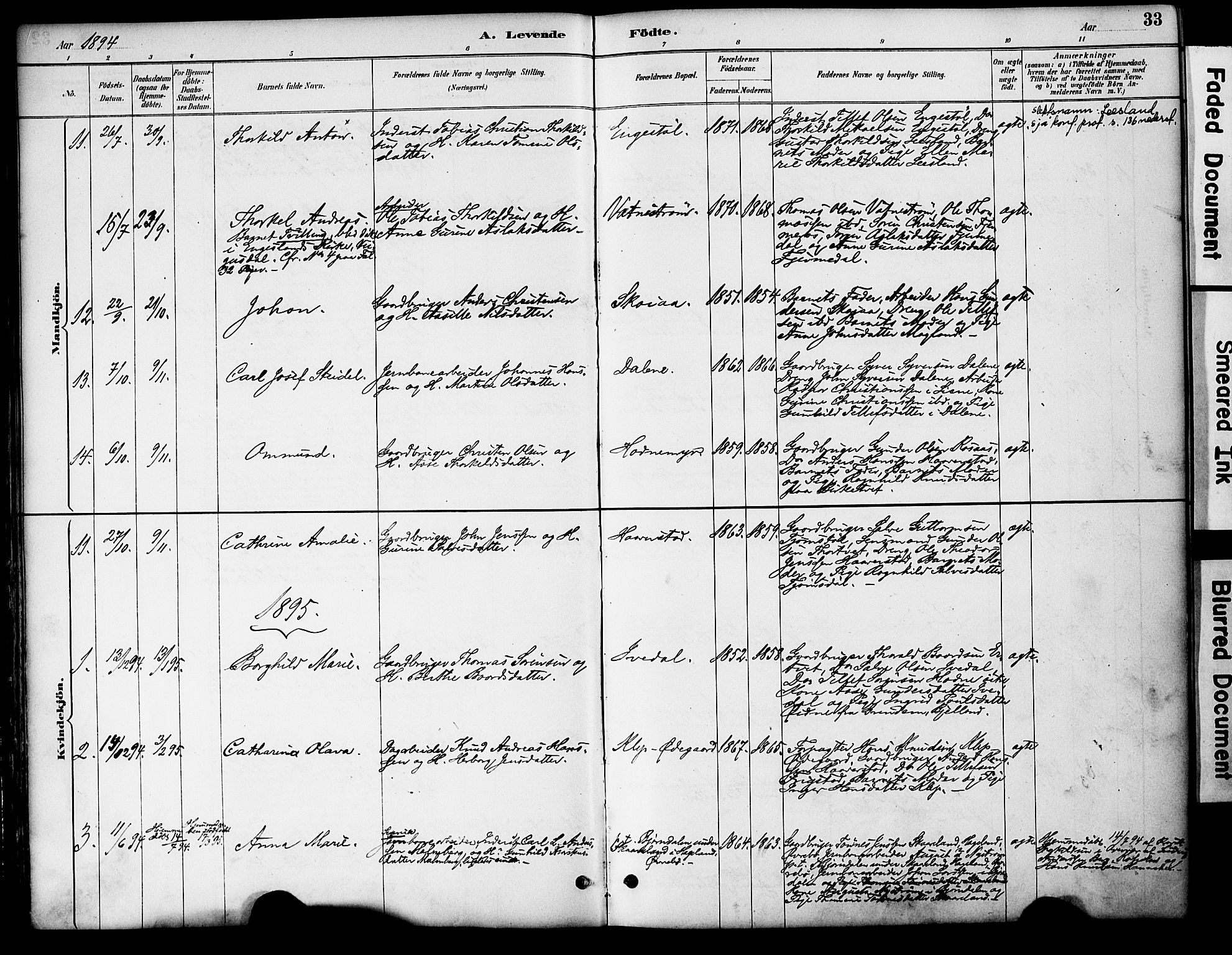 Evje sokneprestkontor, AV/SAK-1111-0008/F/Fa/Fac/L0003: Parish register (official) no. A 3, 1884-1909, p. 33