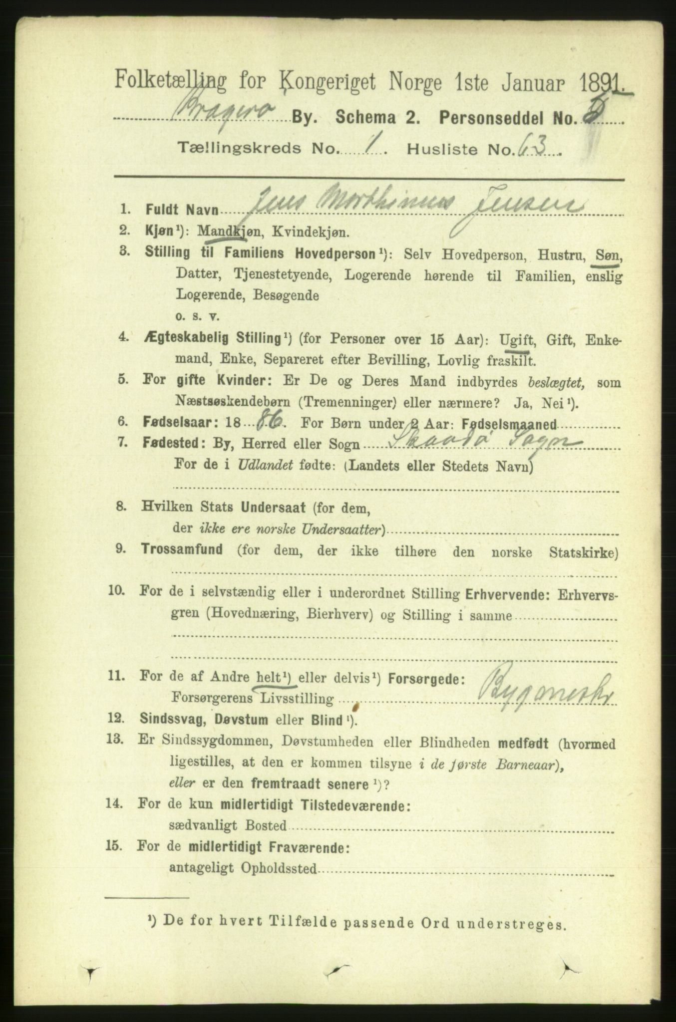 RA, 1891 census for 0801 Kragerø, 1891, p. 2205