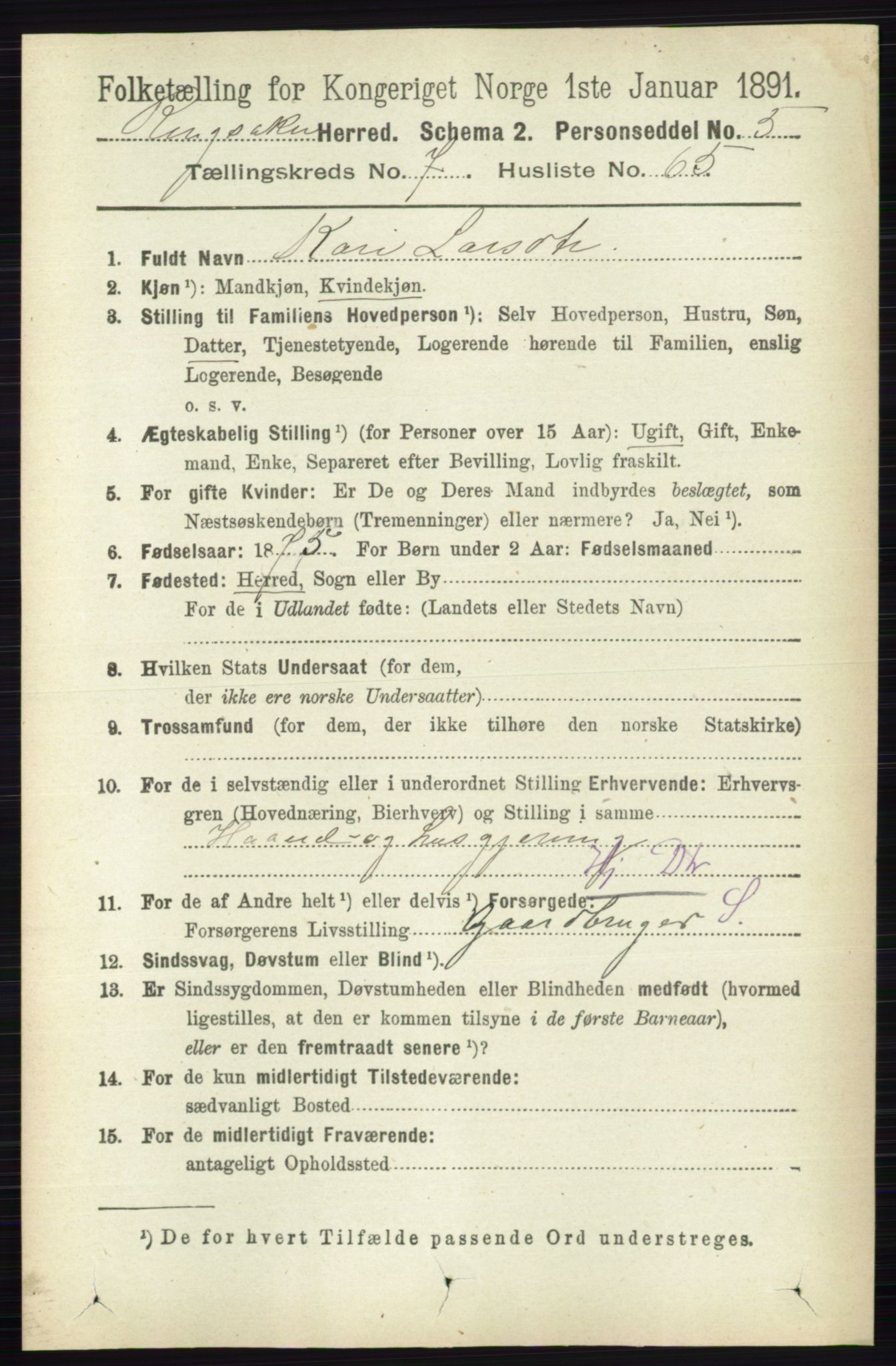 RA, 1891 census for 0412 Ringsaker, 1891, p. 4322