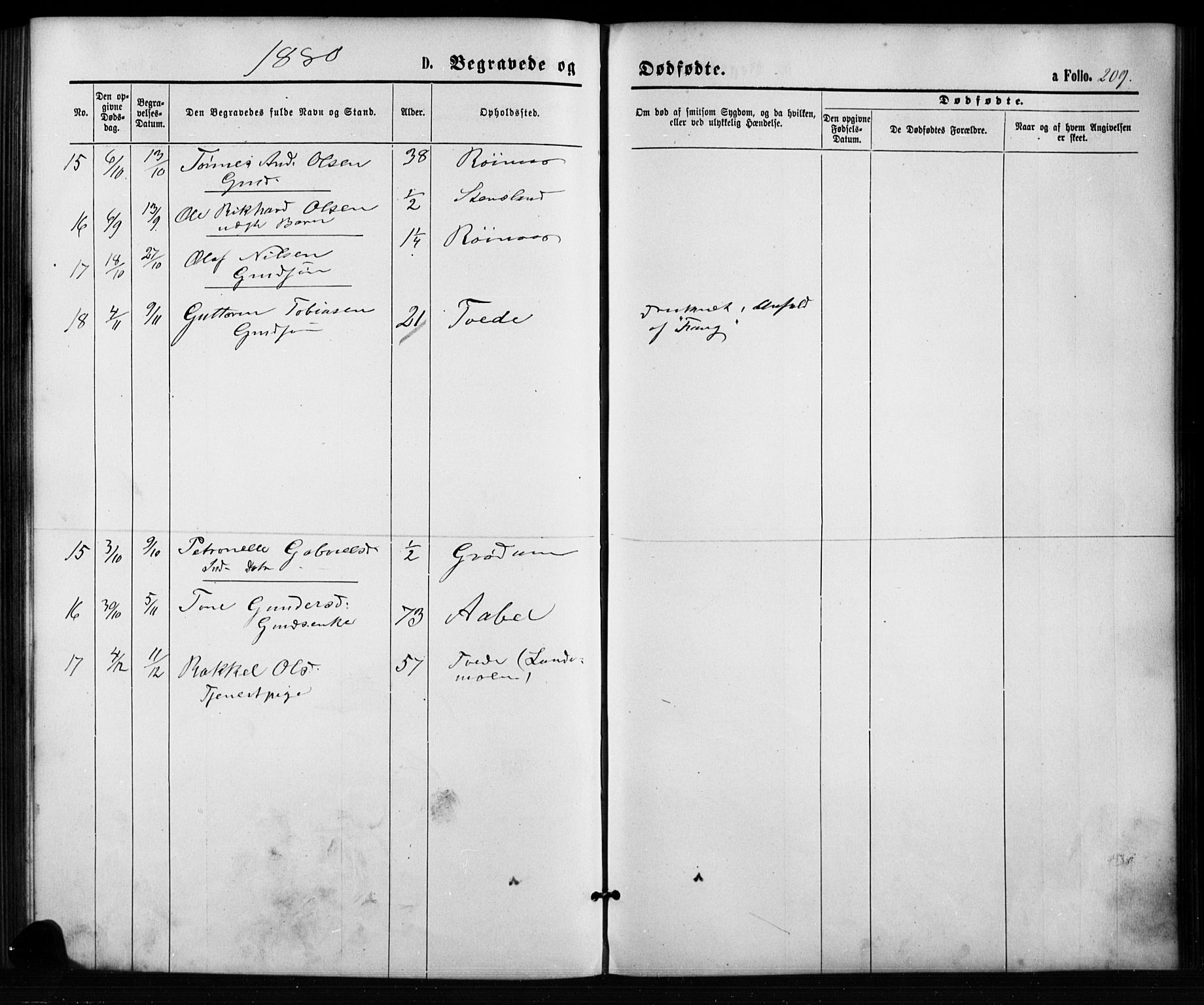Birkenes sokneprestkontor, SAK/1111-0004/F/Fb/L0003: Parish register (copy) no. B 3, 1876-1892, p. 209