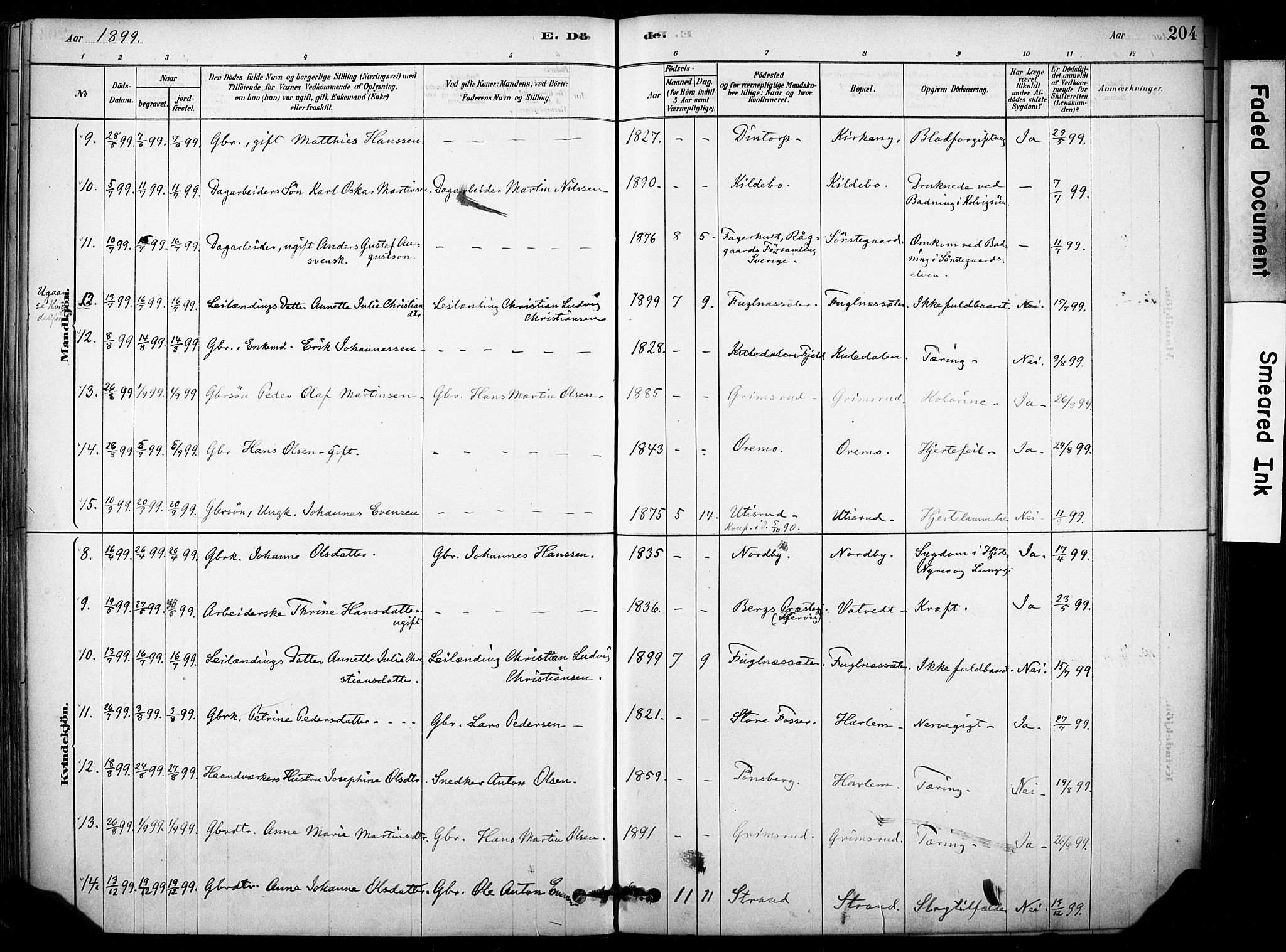 Rakkestad prestekontor Kirkebøker, AV/SAO-A-2008/F/Fb/L0001: Parish register (official) no. II 1, 1878-1899, p. 204