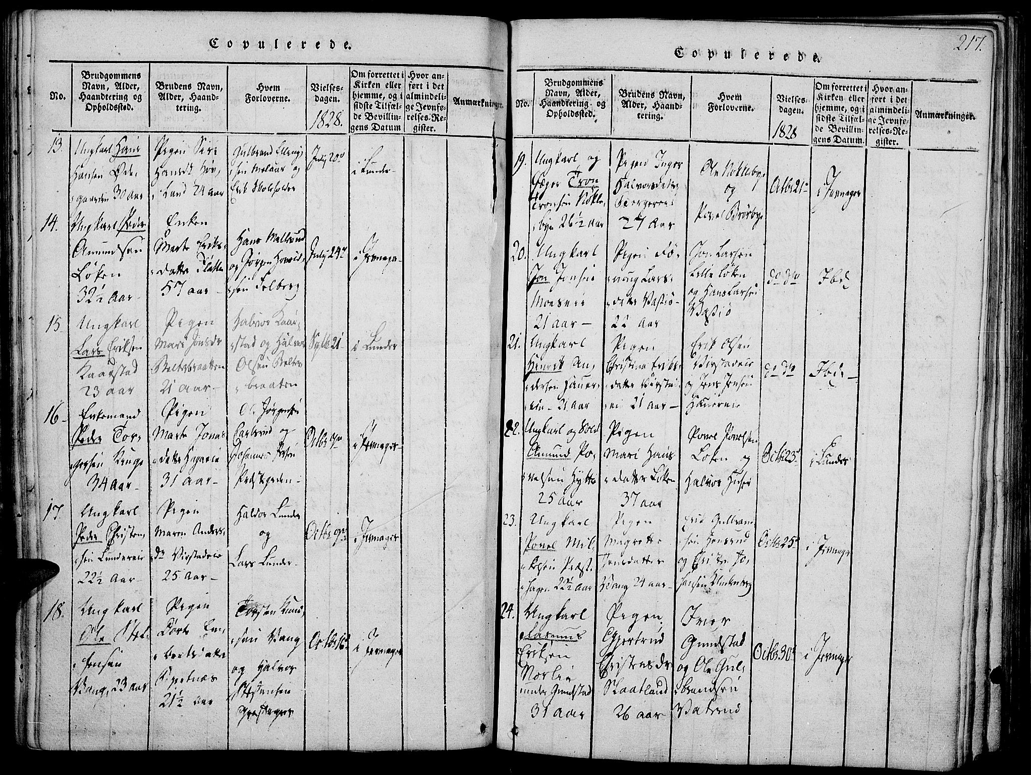Jevnaker prestekontor, SAH/PREST-116/H/Ha/Haa/L0005: Parish register (official) no. 5, 1815-1837, p. 217