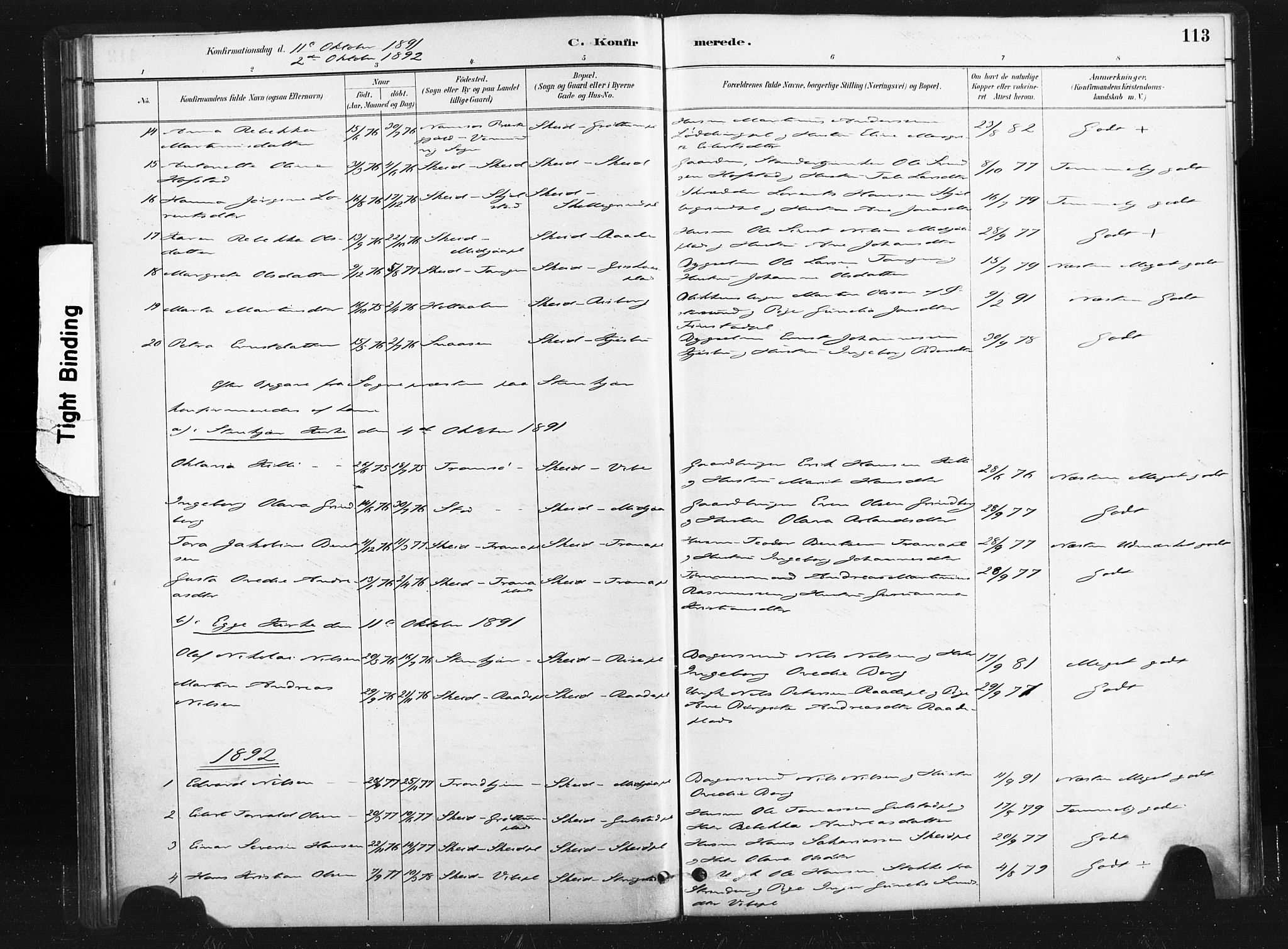 Ministerialprotokoller, klokkerbøker og fødselsregistre - Nord-Trøndelag, SAT/A-1458/736/L0361: Parish register (official) no. 736A01, 1884-1906, p. 113