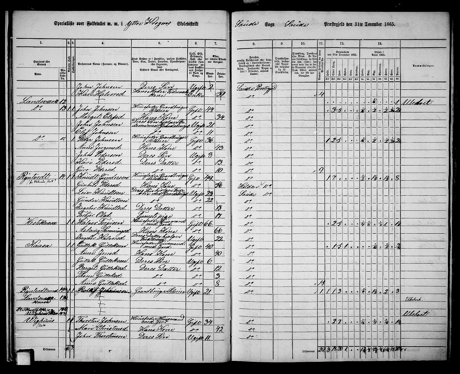 RA, 1865 census for Sauherad, 1865, p. 18