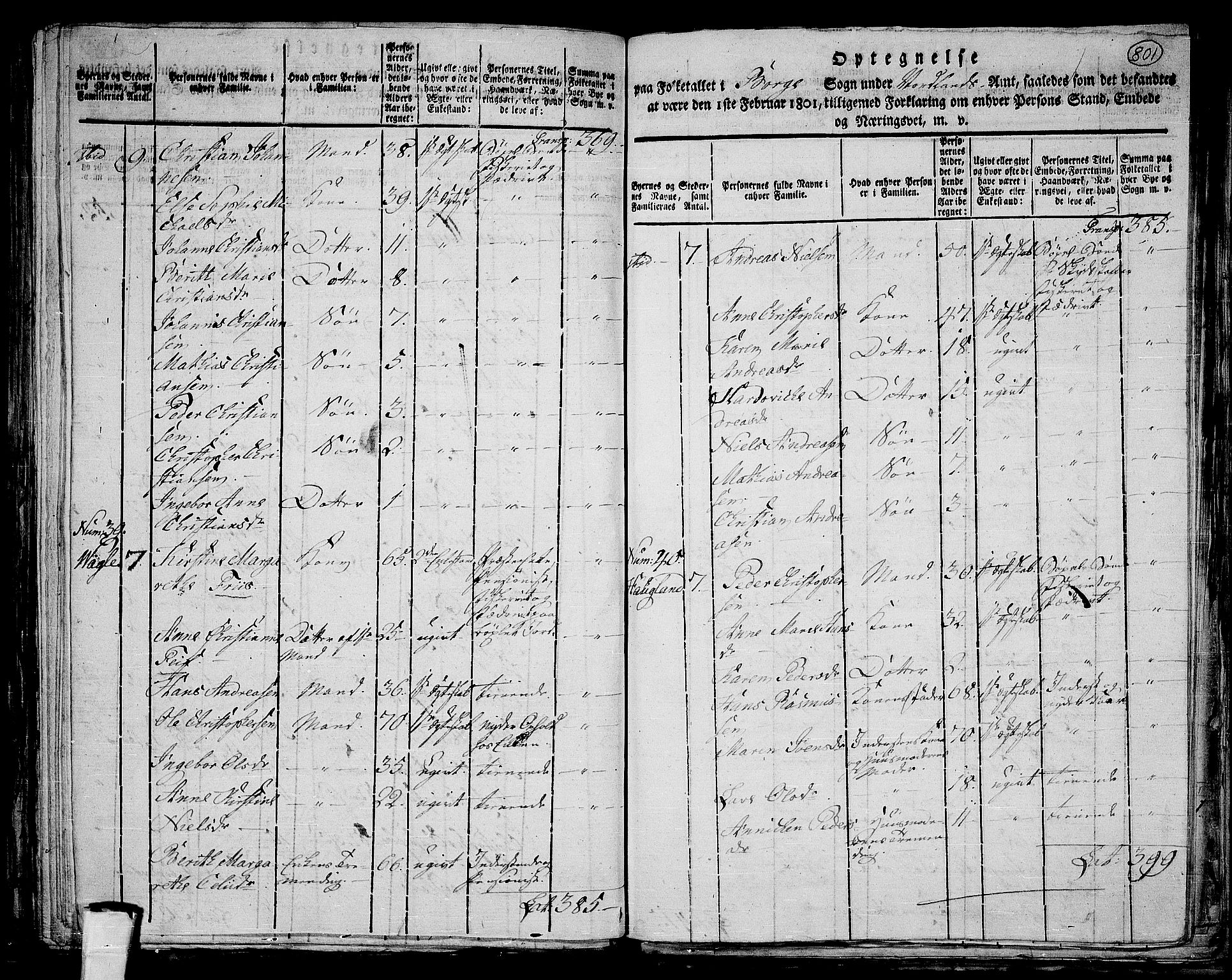 RA, 1801 census for 1862P Borge, 1801, p. 800b-801a