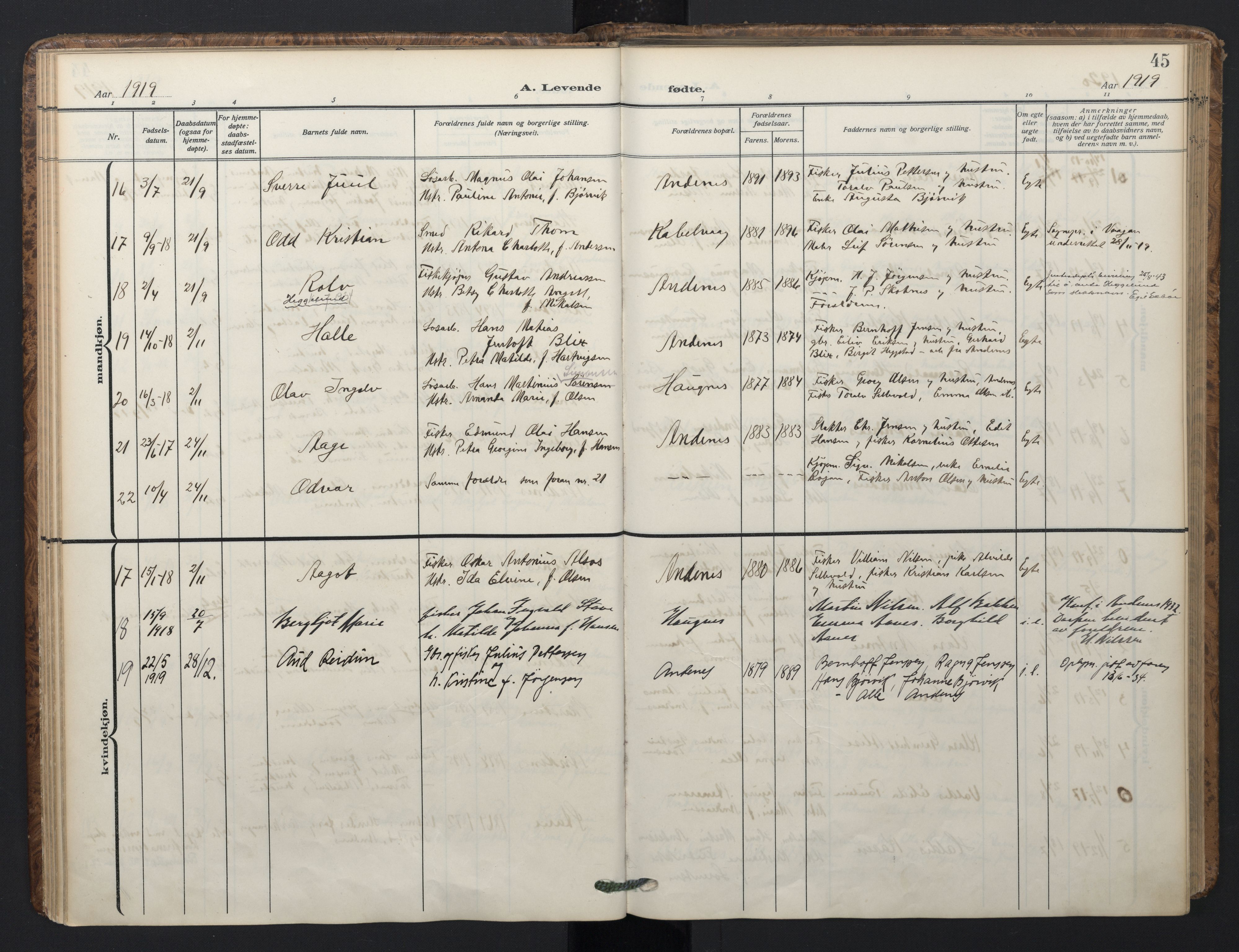 Ministerialprotokoller, klokkerbøker og fødselsregistre - Nordland, AV/SAT-A-1459/899/L1438: Parish register (official) no. 899A06, 1909-1922, p. 45