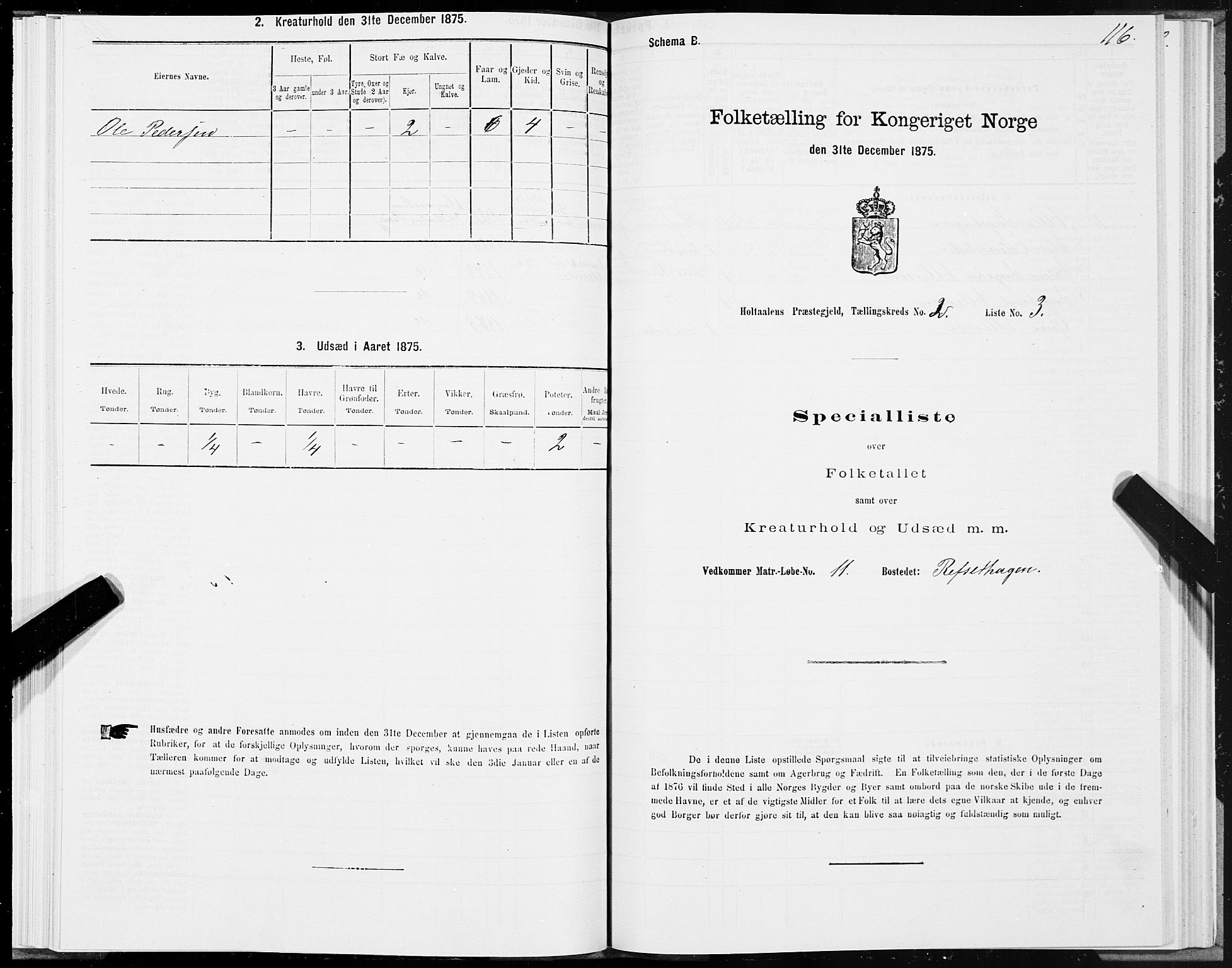 SAT, 1875 census for 1645P Haltdalen, 1875, p. 2116