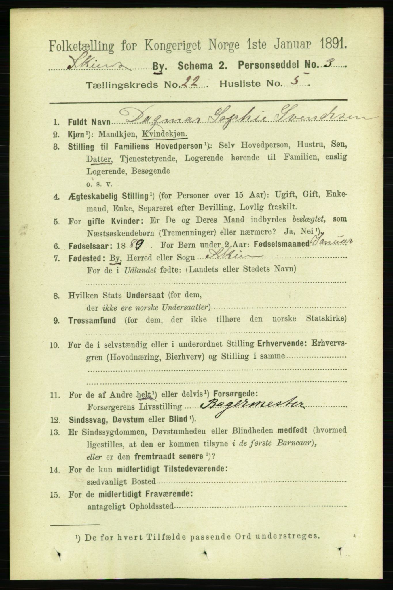 RA, 1891 census for 0806 Skien, 1891, p. 5720