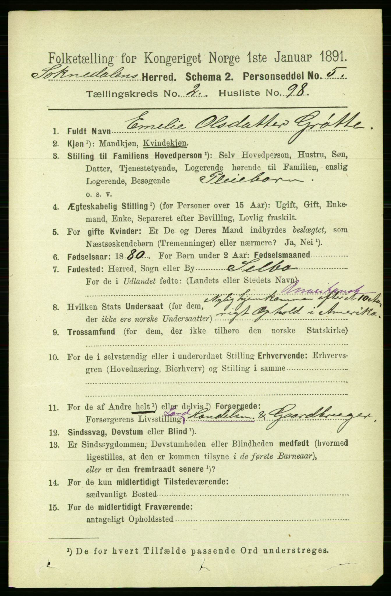 RA, 1891 census for 1649 Soknedal, 1891, p. 1089