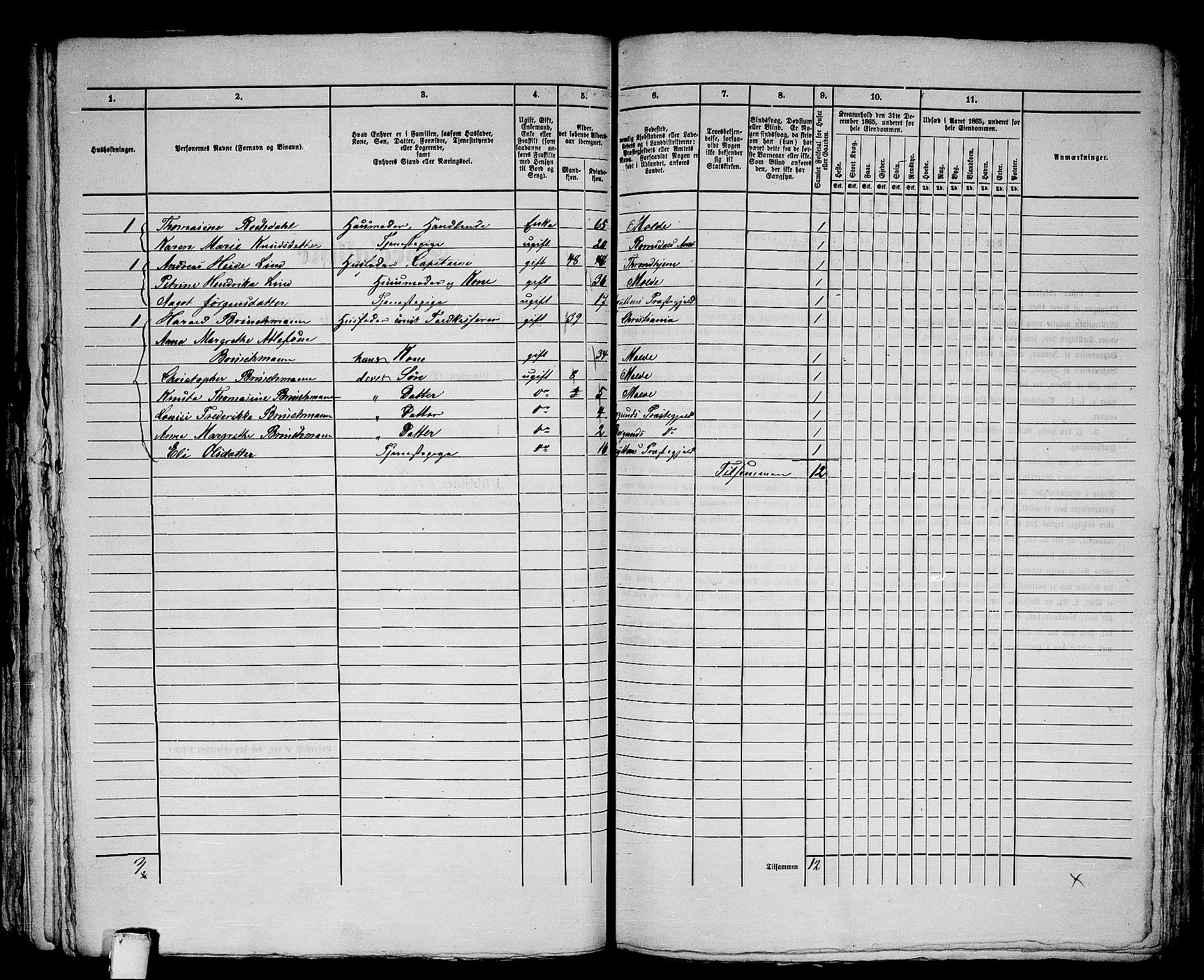 RA, 1865 census for Molde, 1865, p. 219