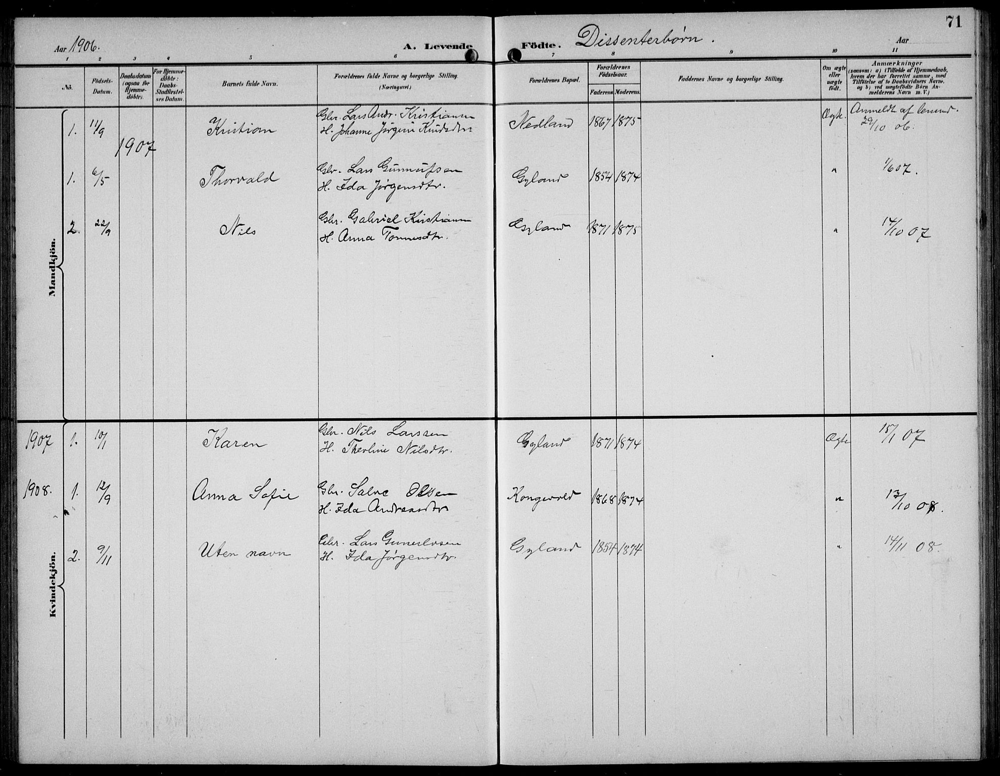 Bakke sokneprestkontor, SAK/1111-0002/F/Fb/Fbb/L0004: Parish register (copy) no. B 4, 1896-1927, p. 71