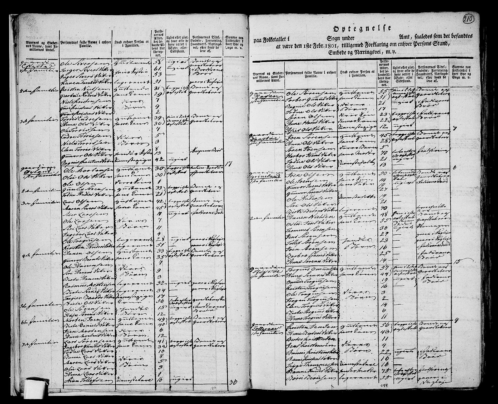 RA, 1801 census for 1024P Bjelland, 1801, p. 209b-210a